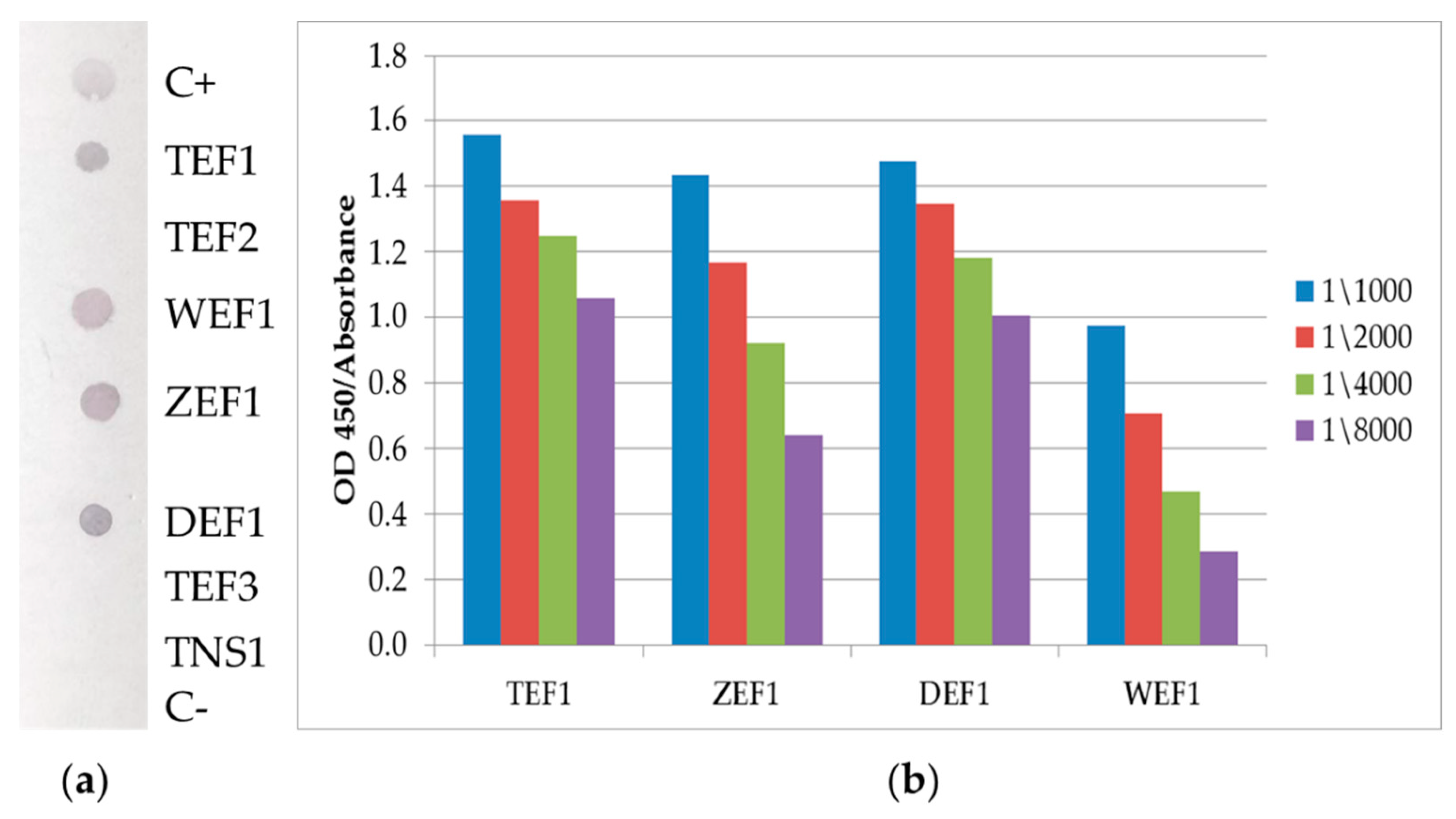 Ijms 23 07721 g002 550