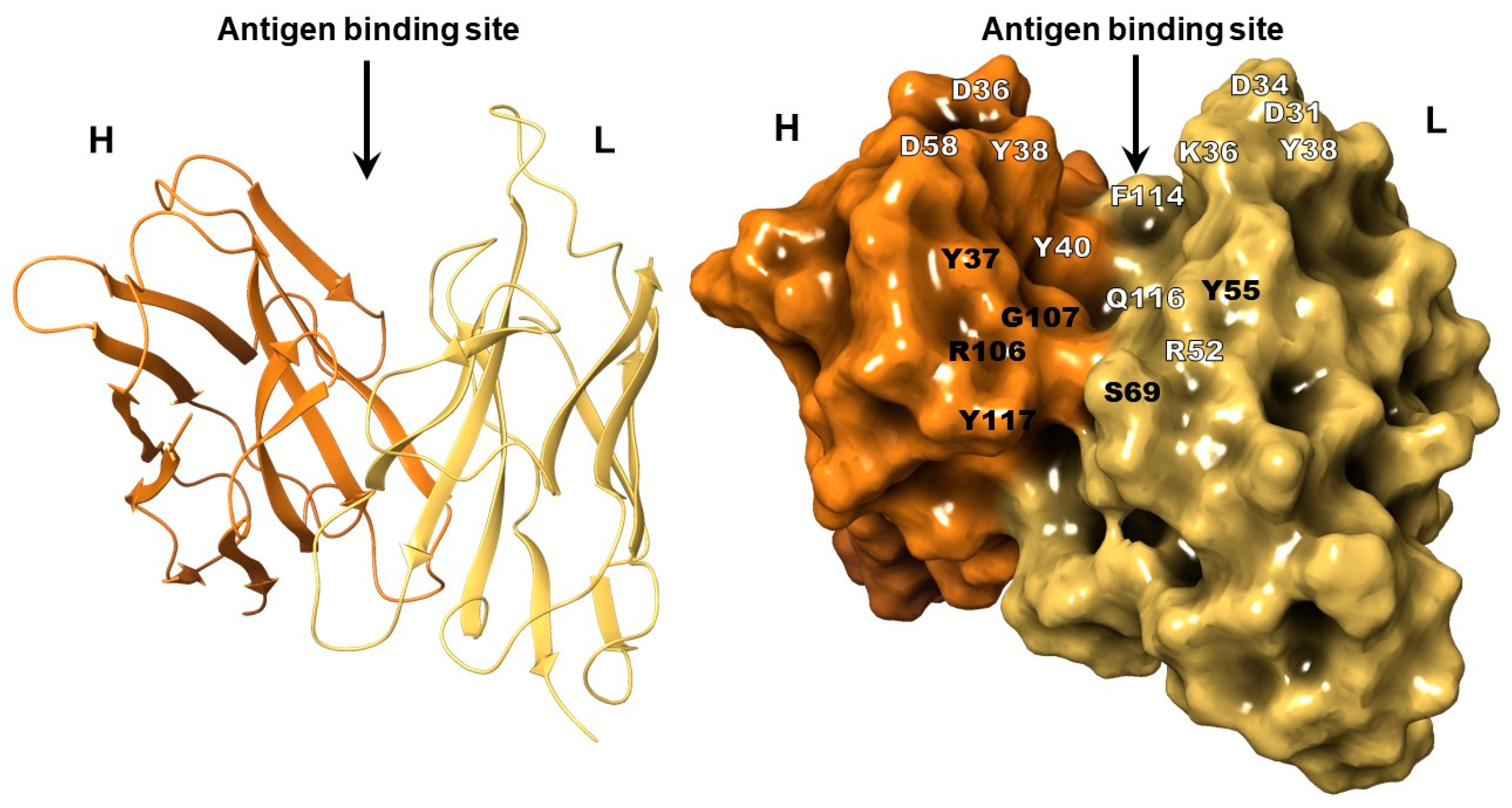 Ijms 23 07721 g004 550