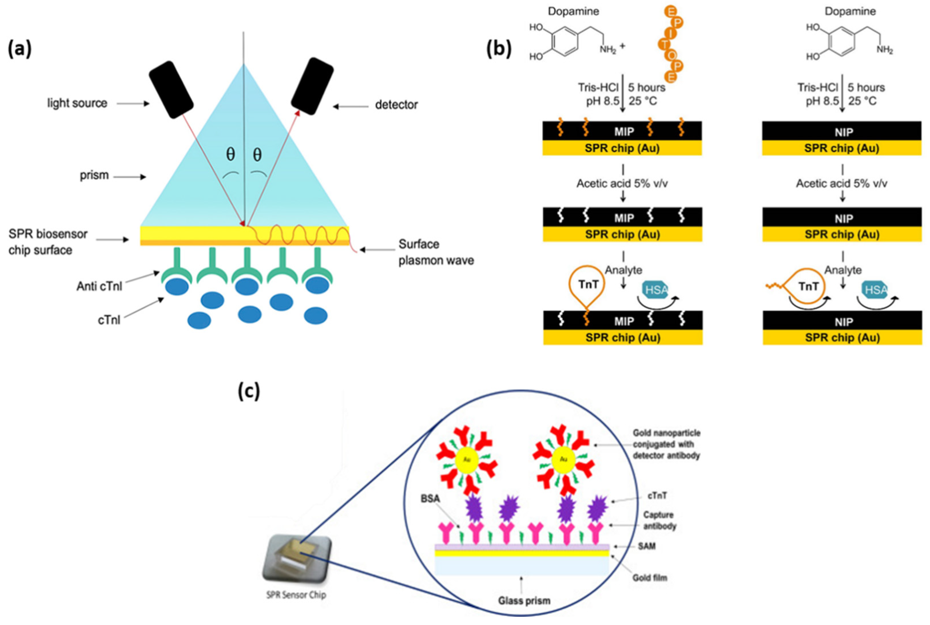 Gradient based rapid digital immunoassay for 44 off