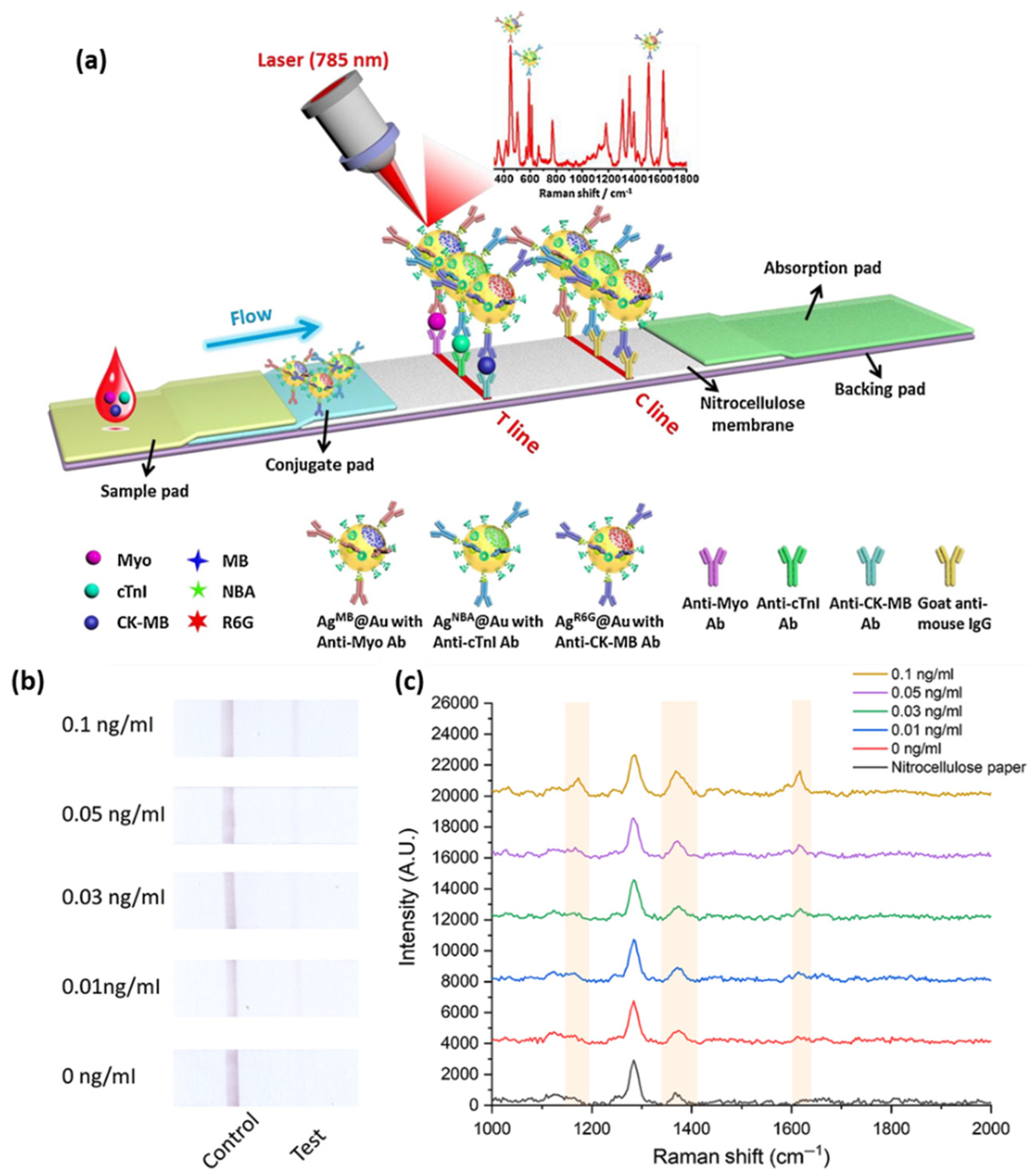 Ijms 23 07728 g004 550