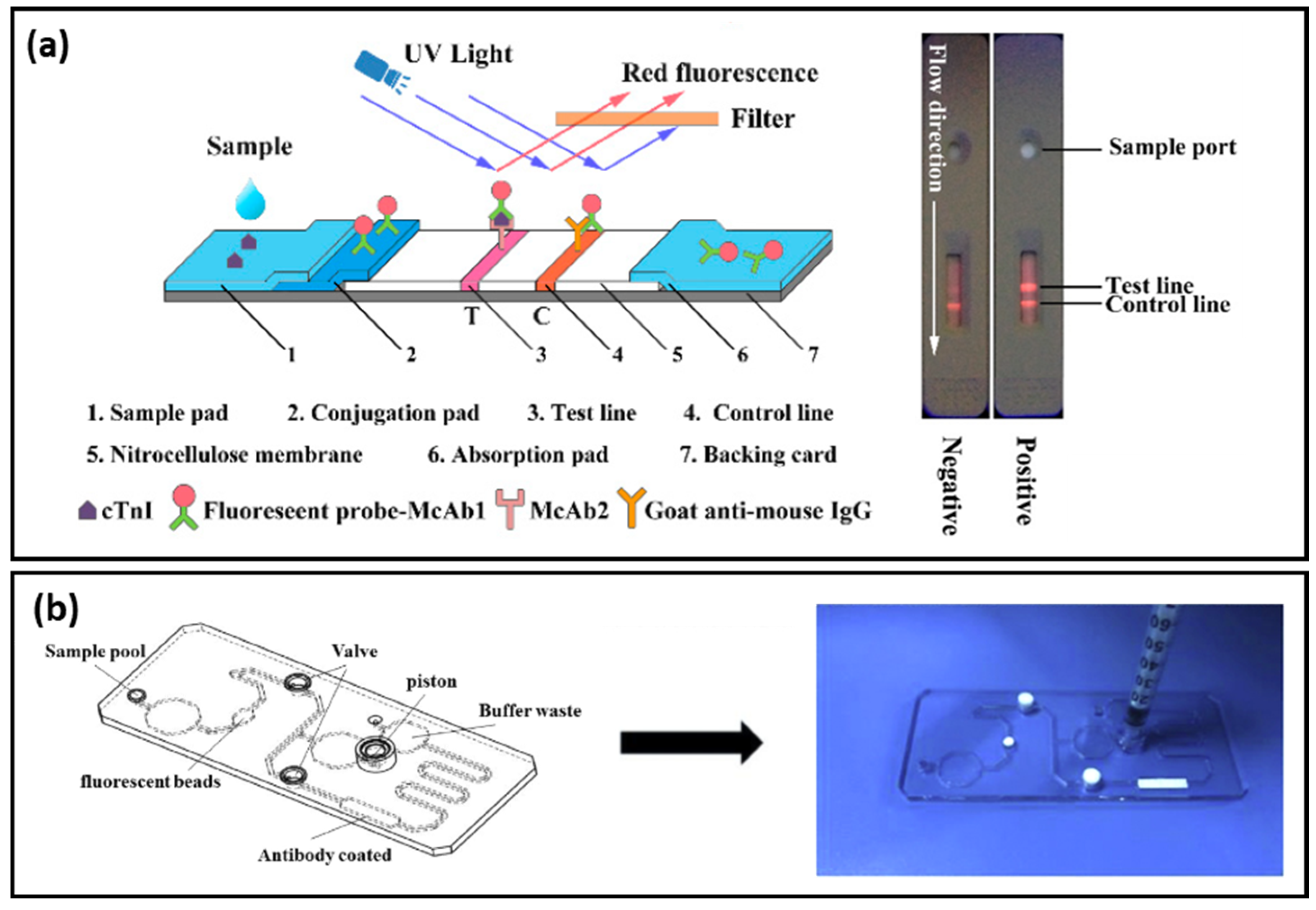 Ijms 23 07728 g005 550