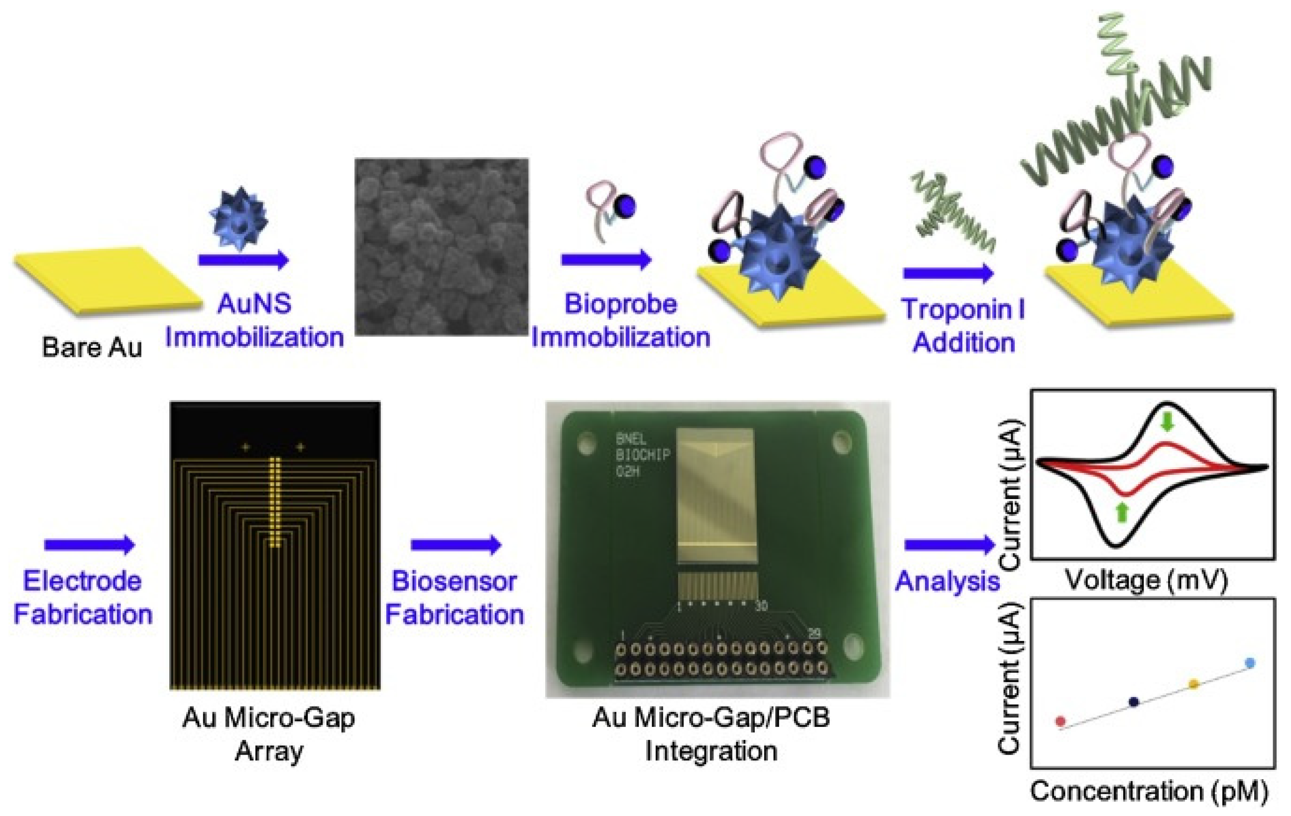 Ijms 23 07728 g007 550