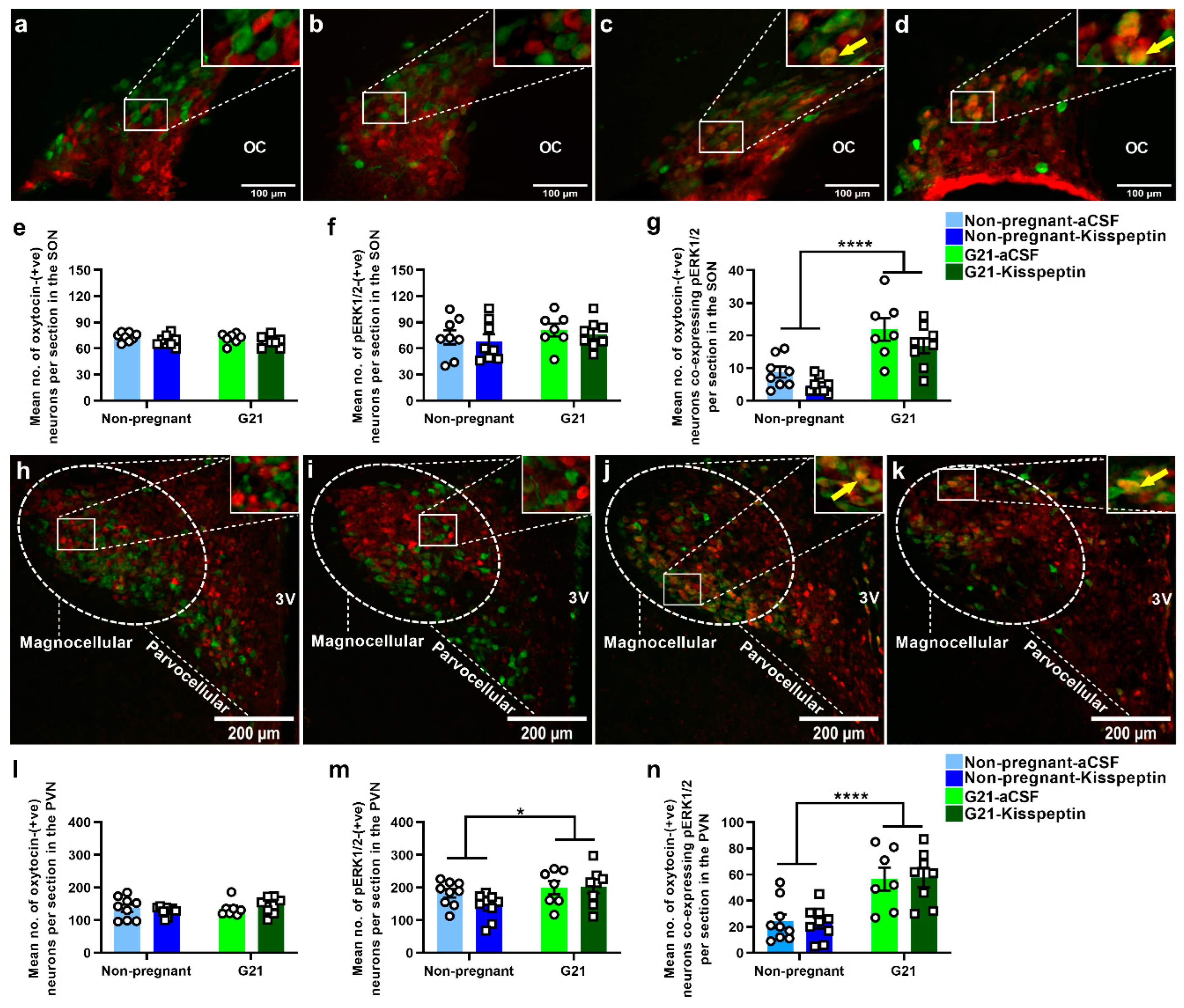 Ijms 23 07729 g001 550
