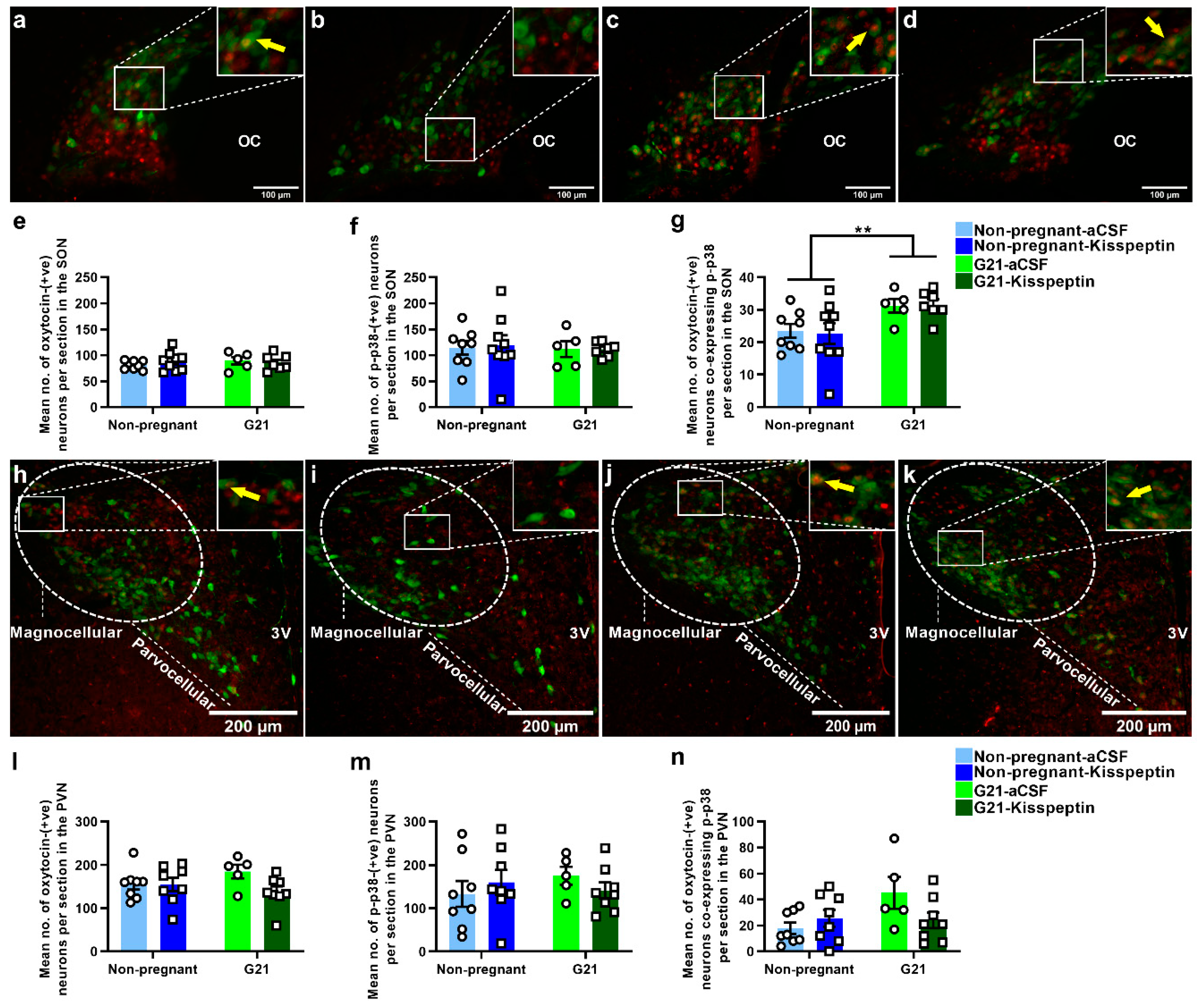 Ijms 23 07729 g003 550