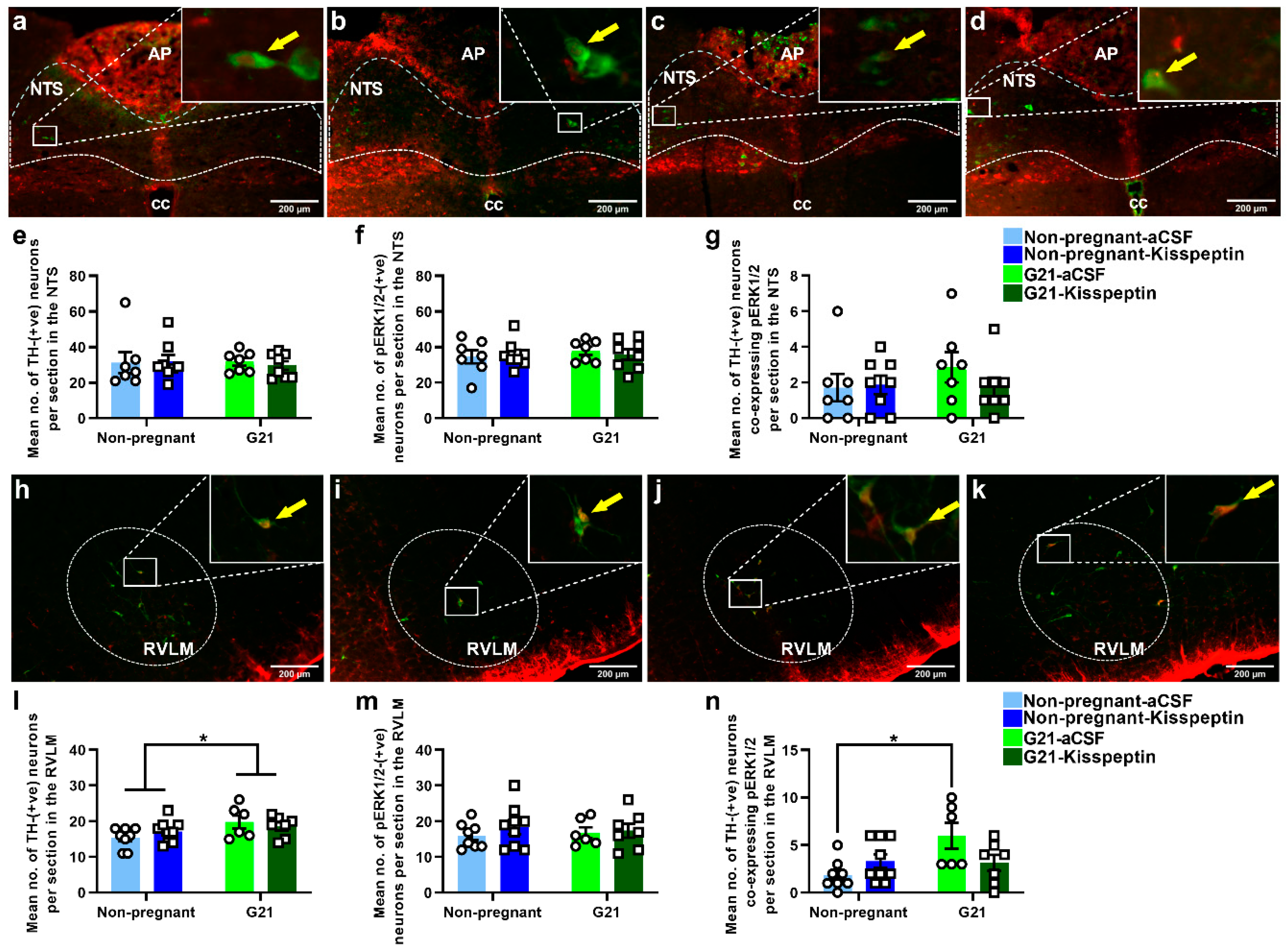 Ijms 23 07729 g005 550