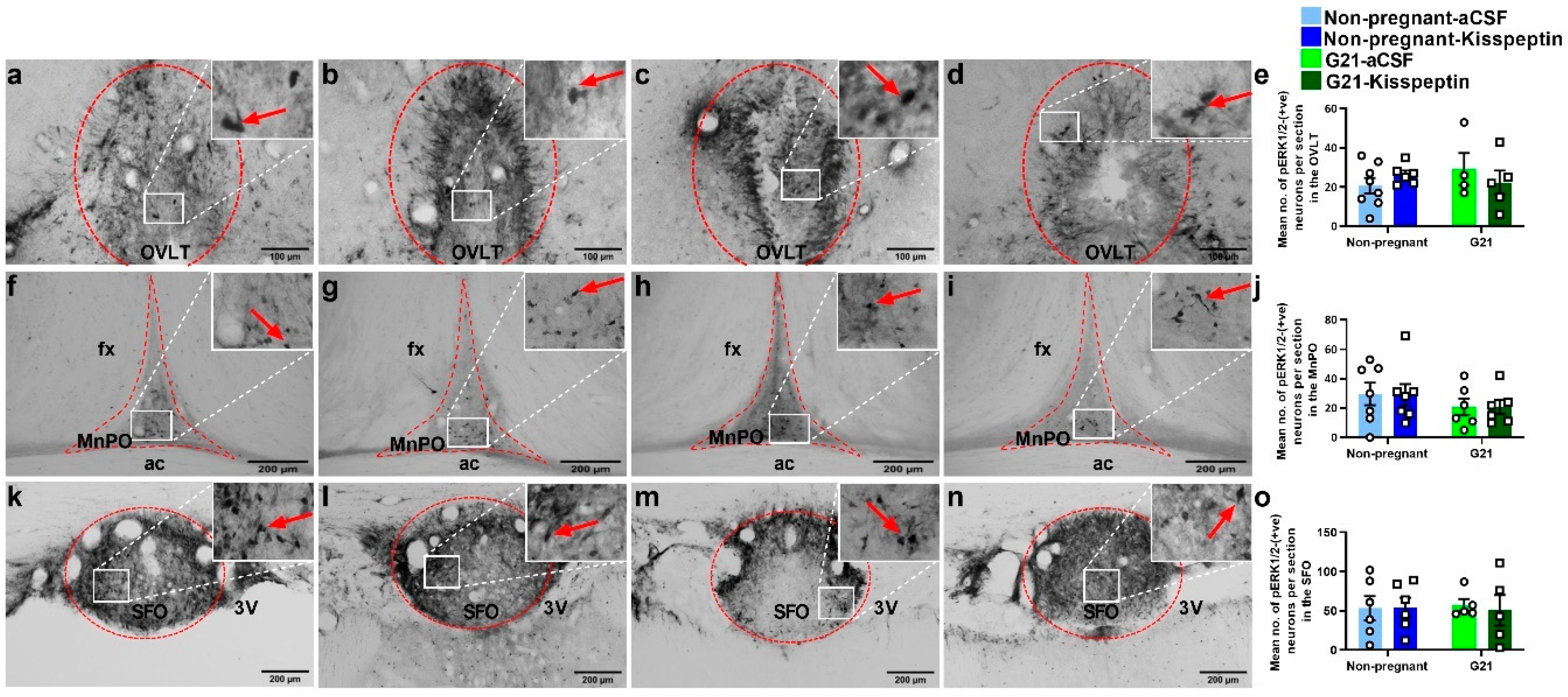 Ijms 23 07729 g007 550