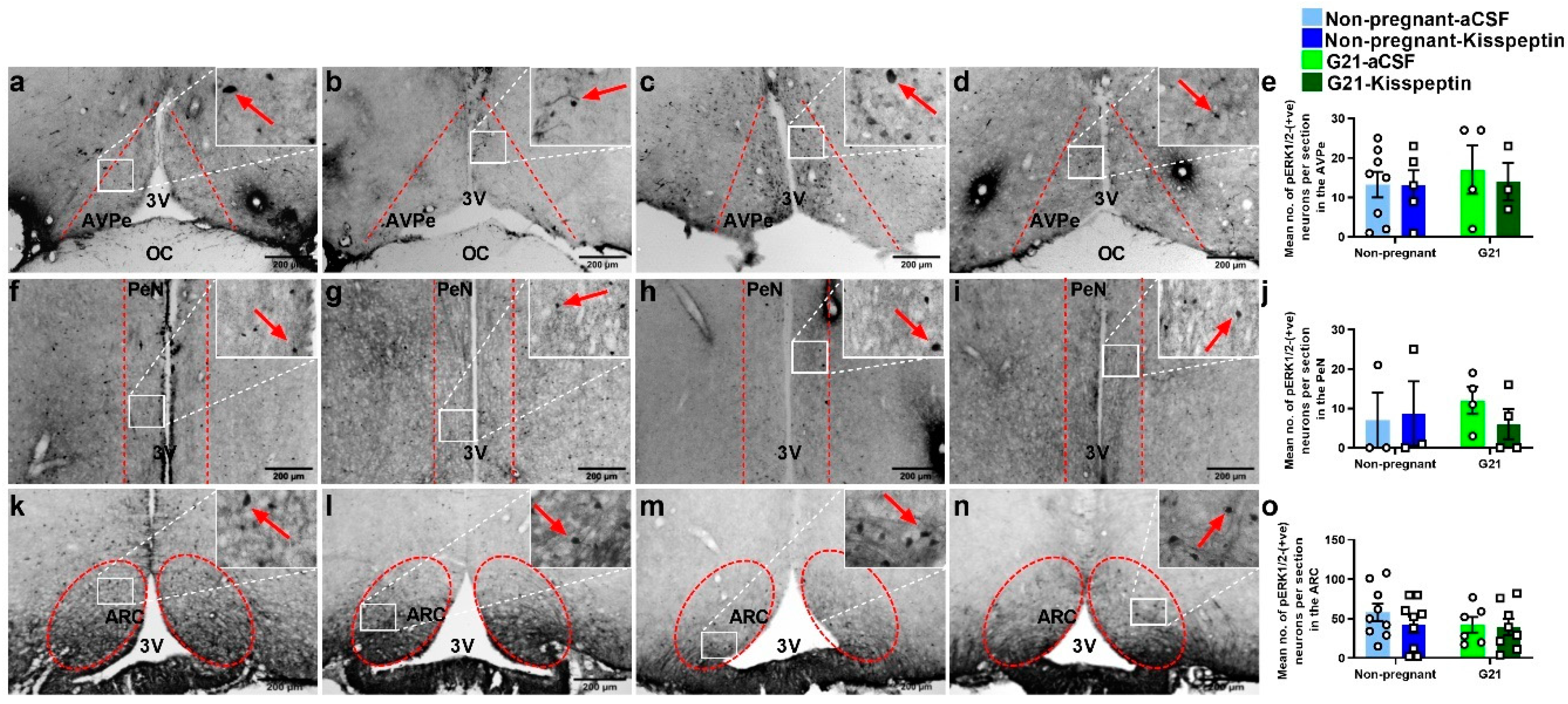 Ijms 23 07729 g009 550