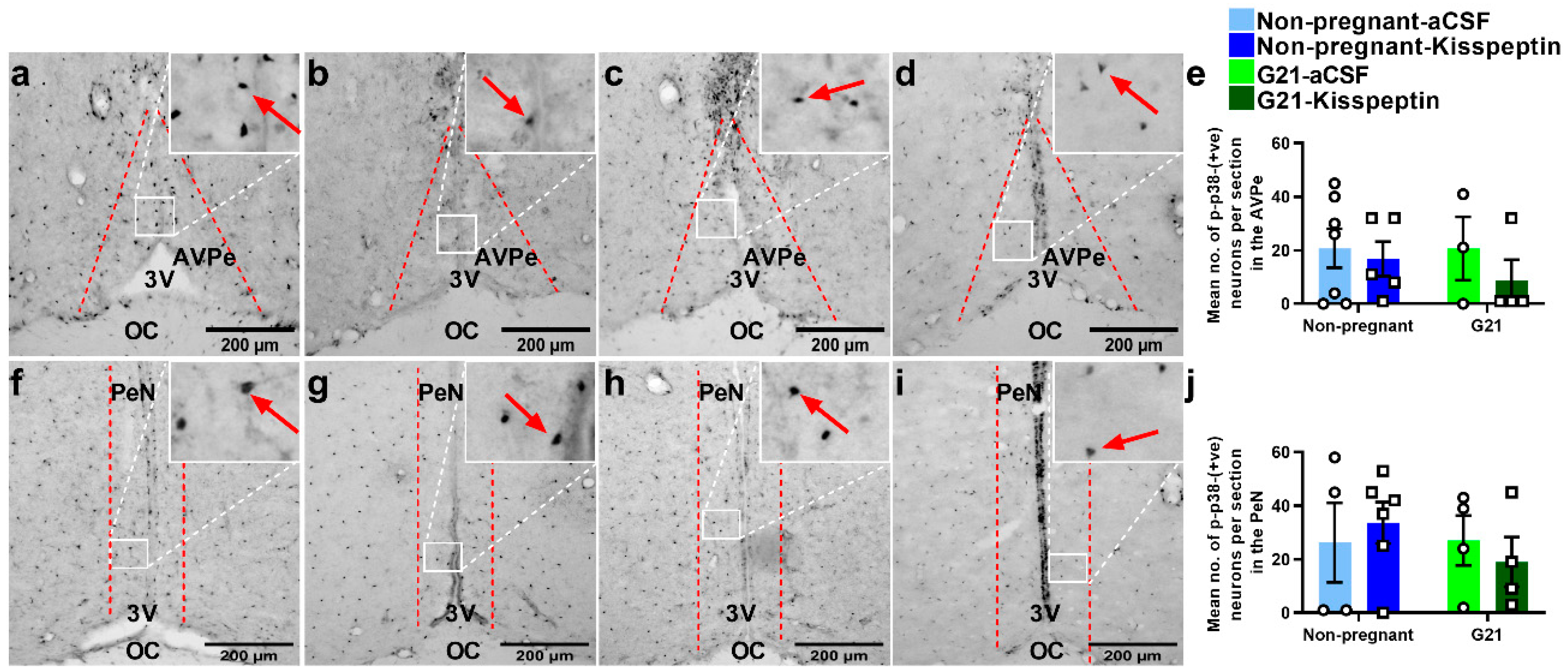 Ijms 23 07729 g010 550