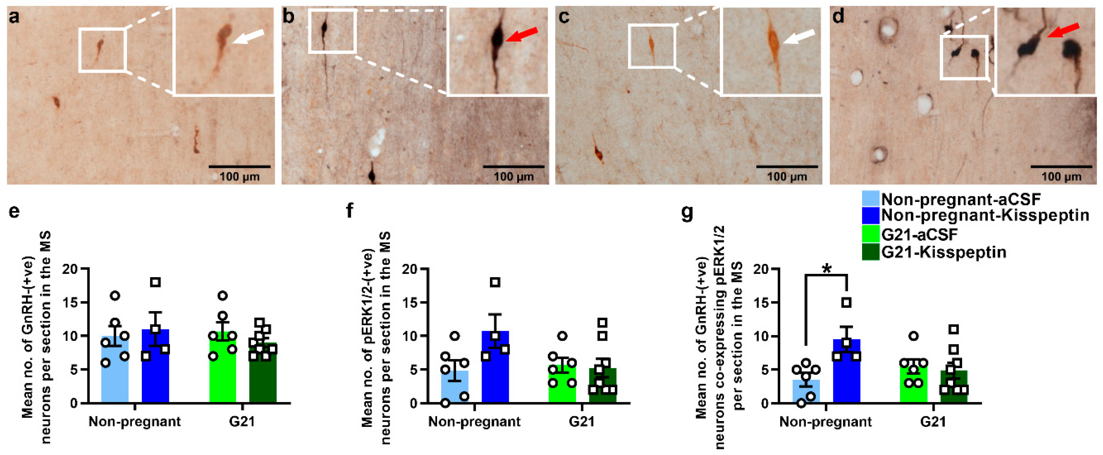 Ijms 23 07729 sch002 550