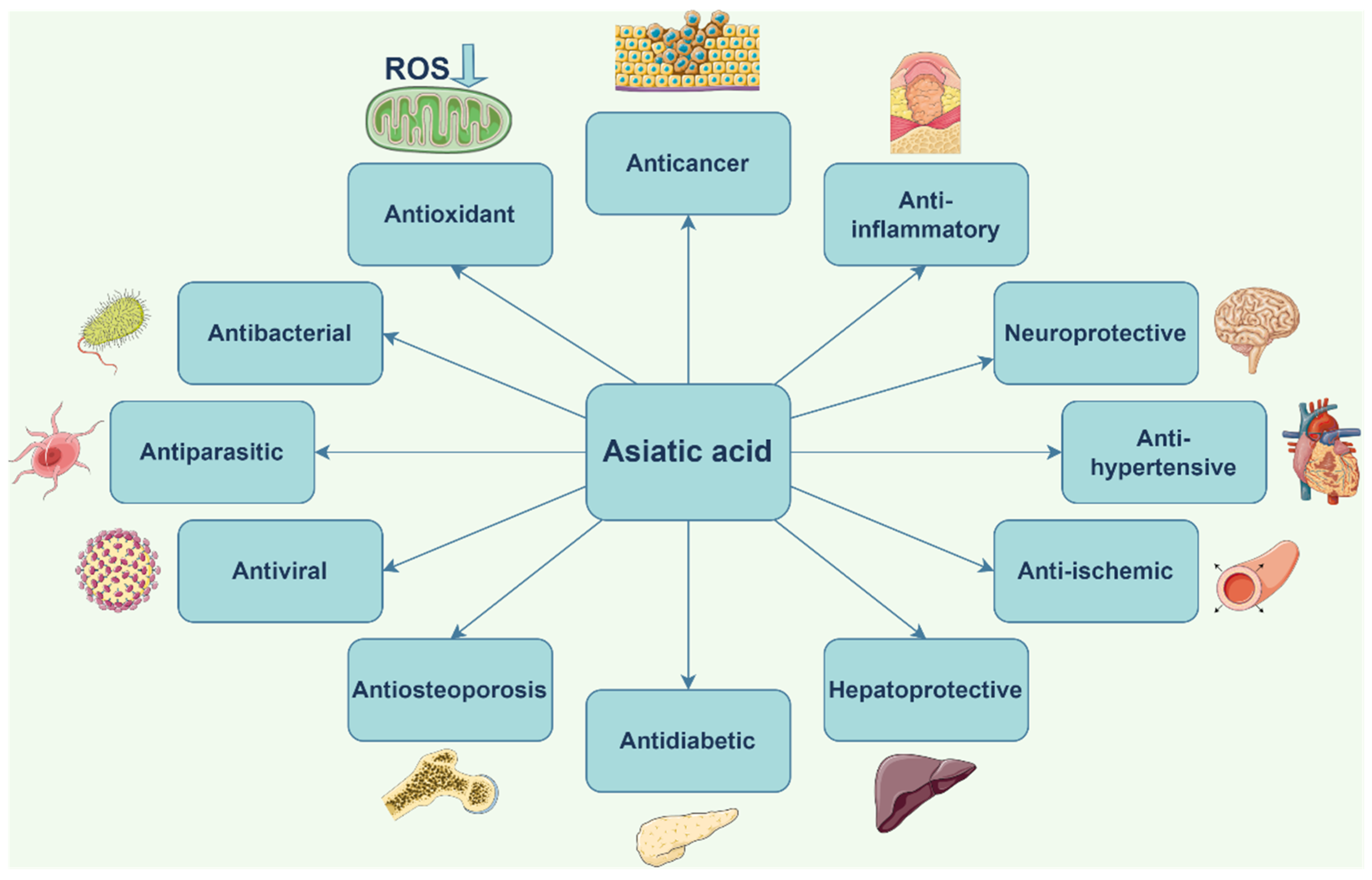 Ijms 23 07740 g004 550