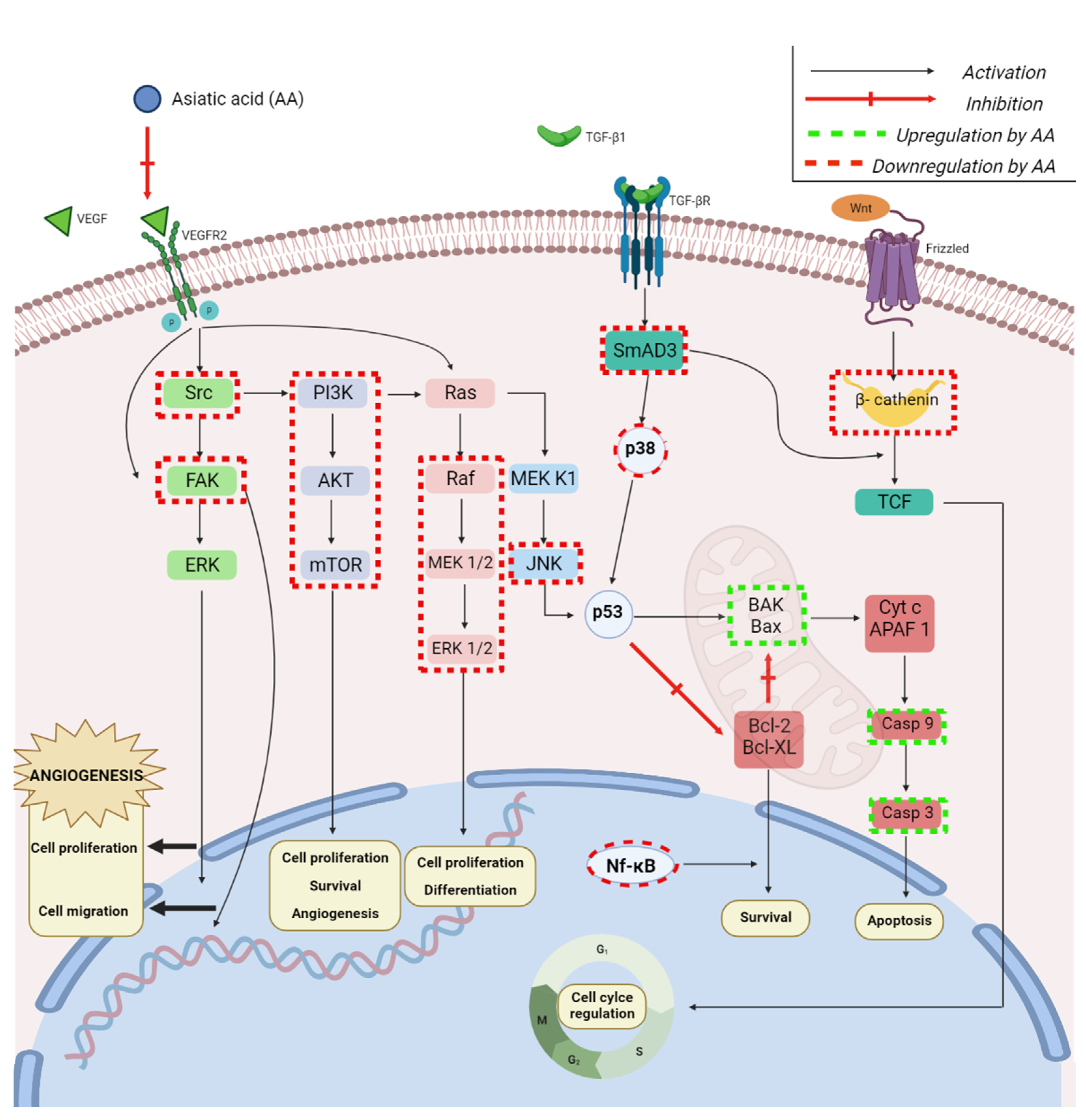 Ijms 23 07740 g005 550