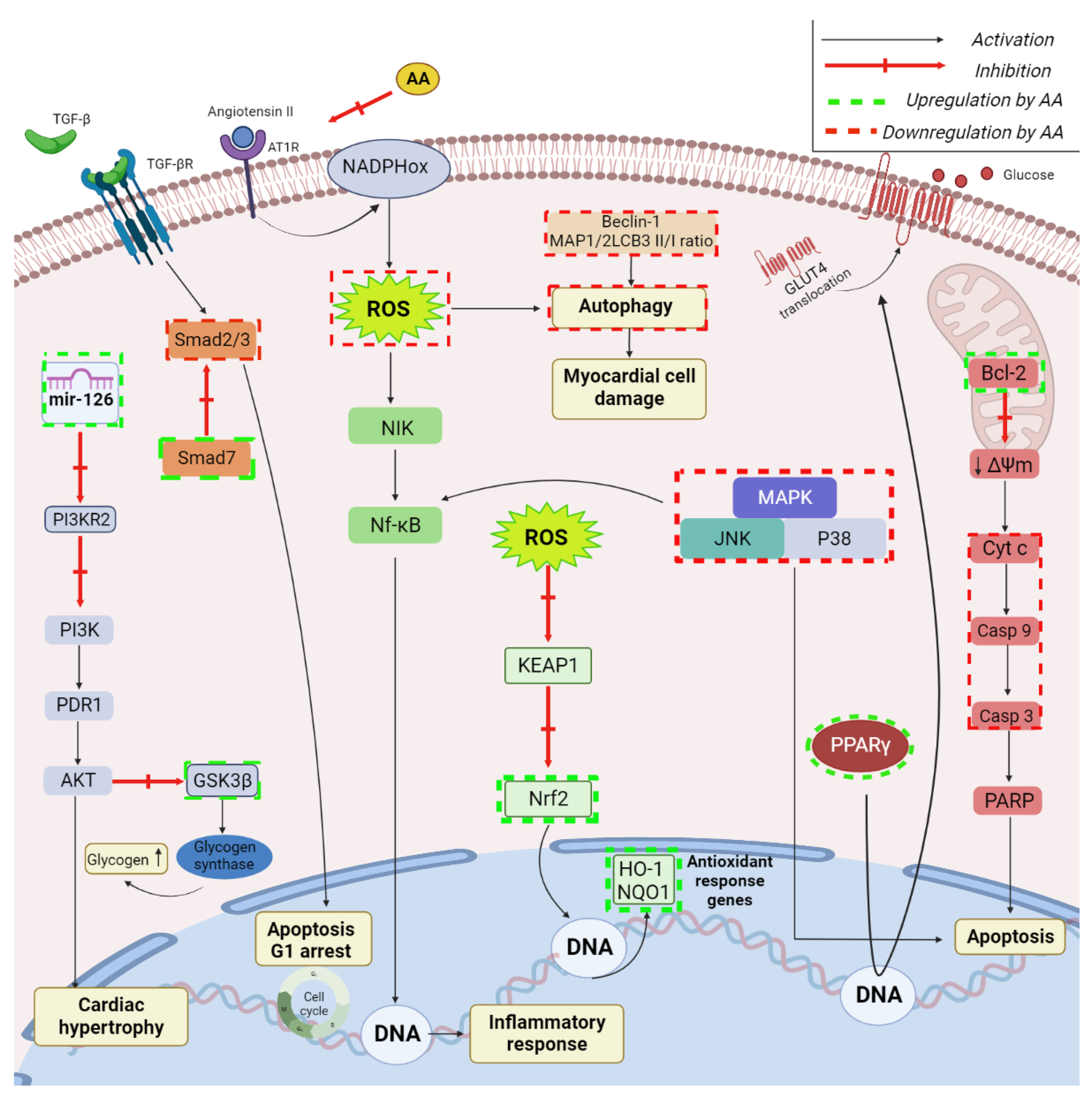 Ijms 23 07740 g007 550