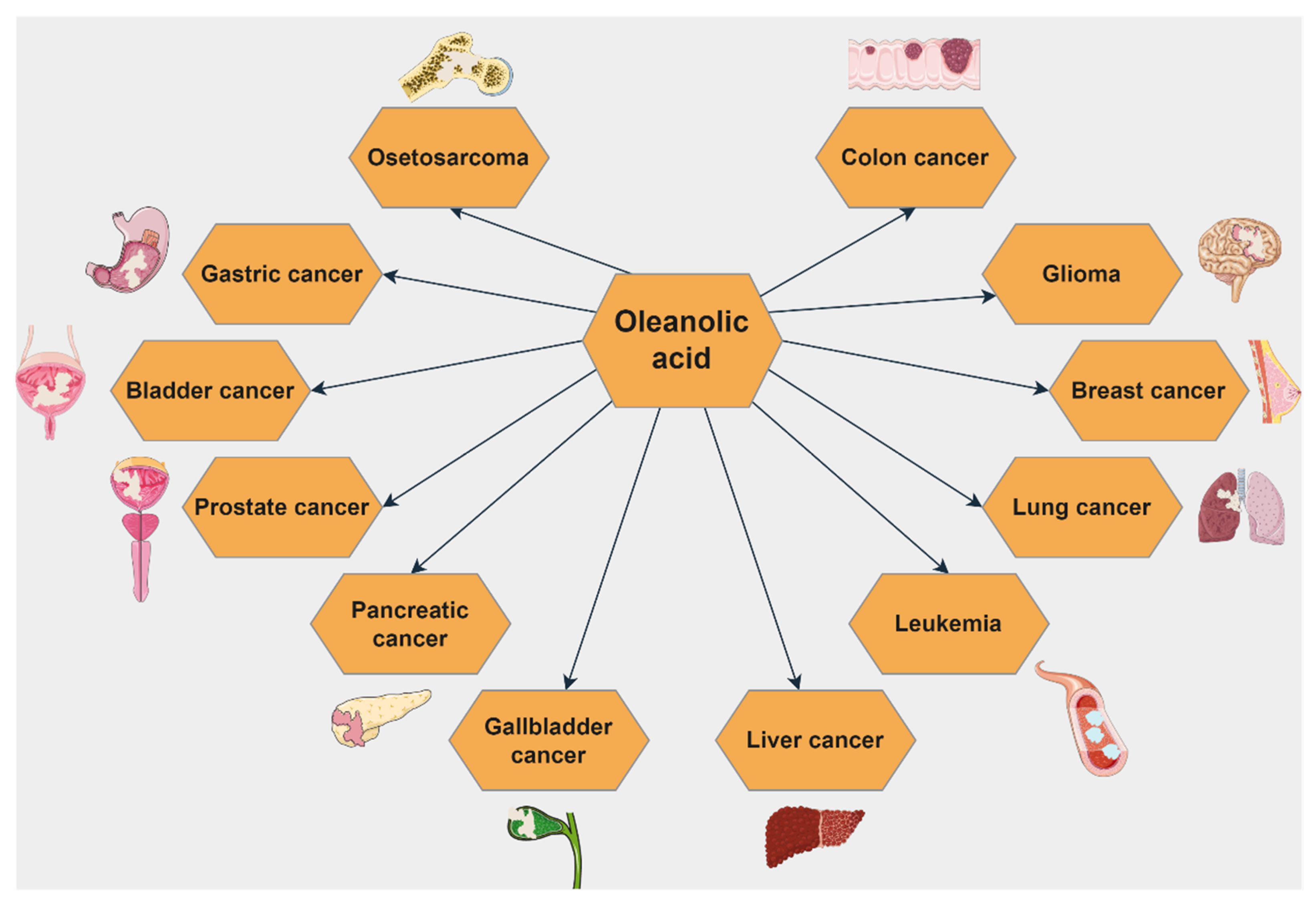 Ijms 23 07740 g009 550