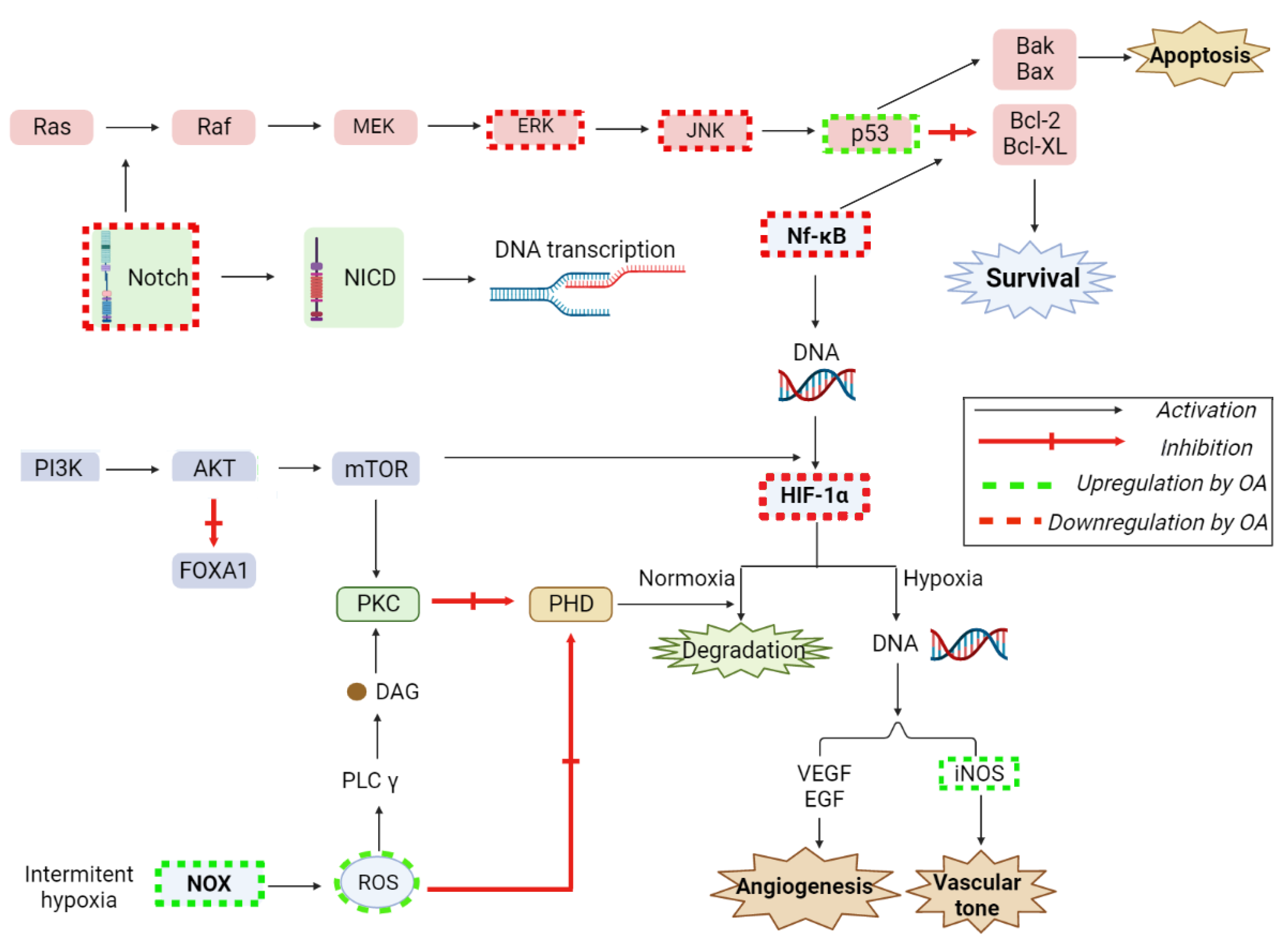 Ijms 23 07740 g010 550