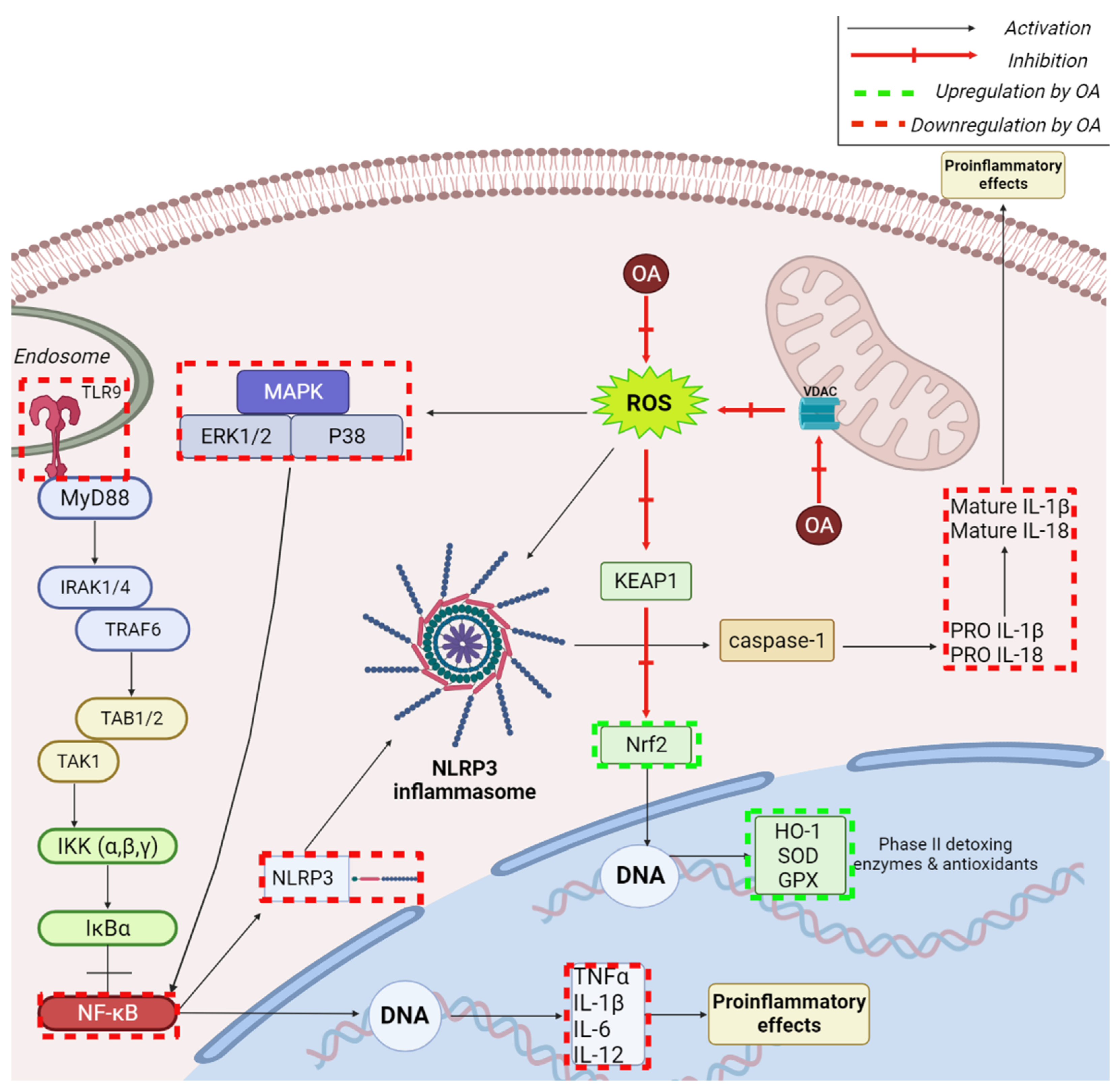 Ijms 23 07740 g011 550
