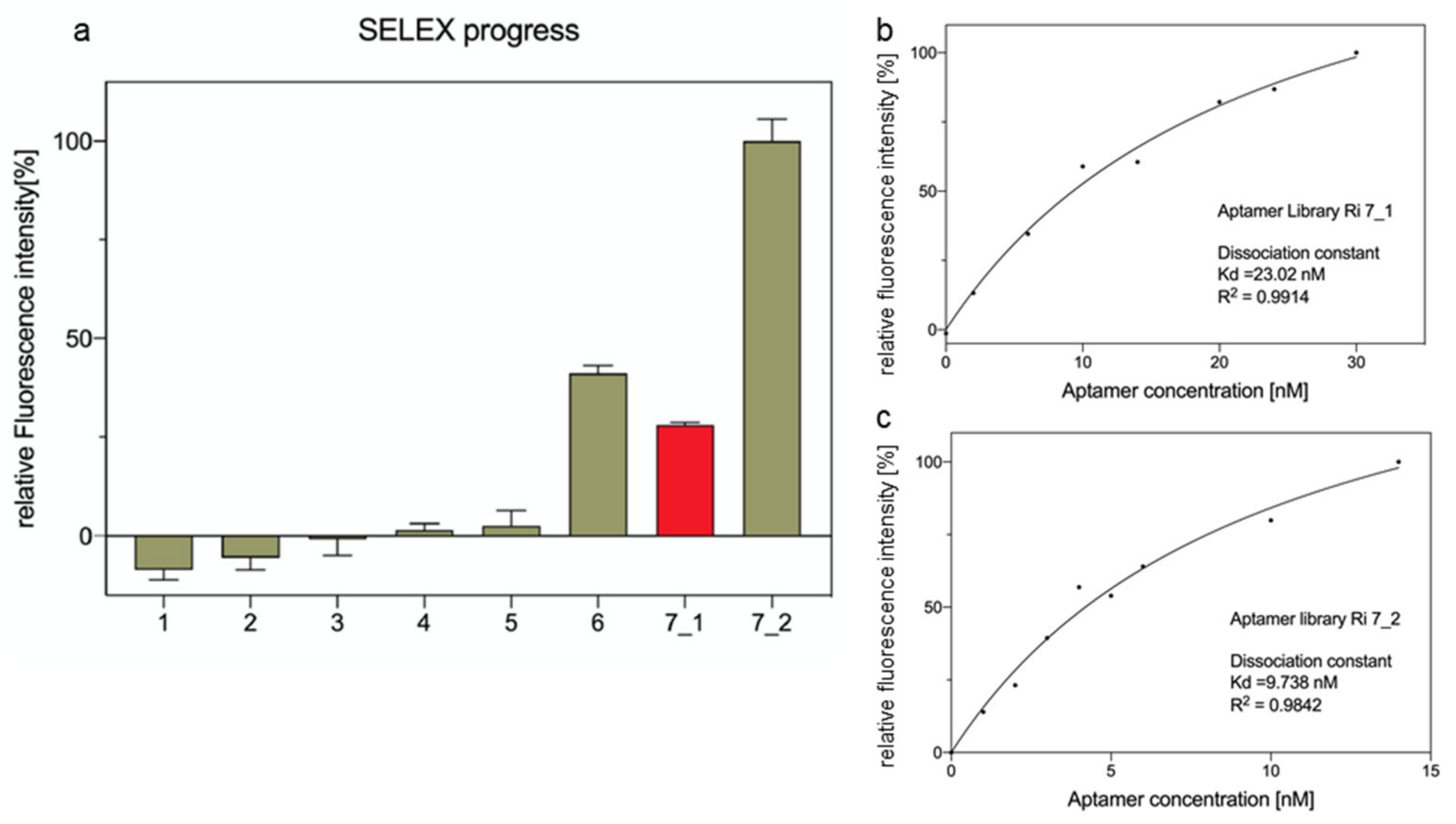 Ijms 23 07744 g002 550