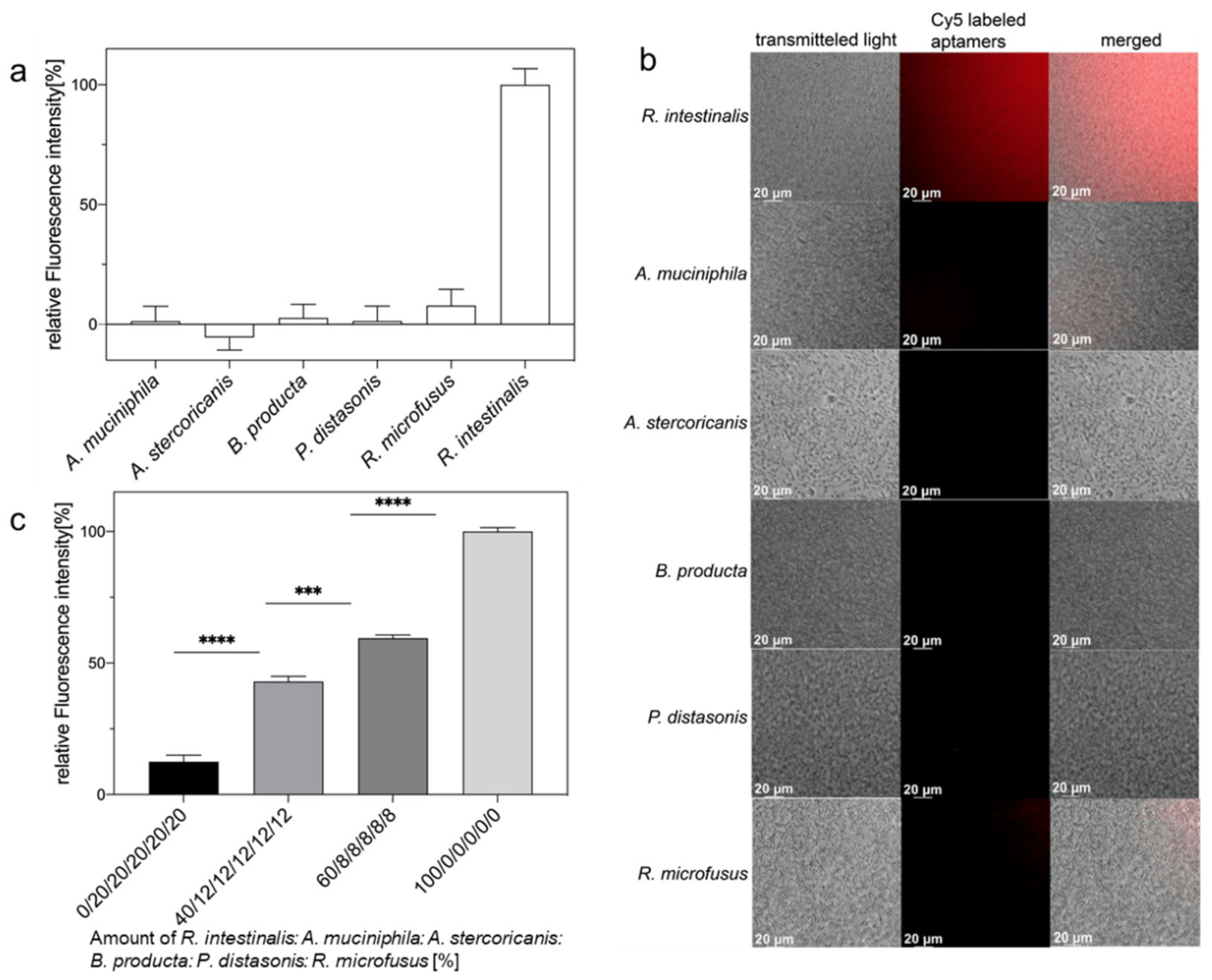 Ijms 23 07744 g003 550