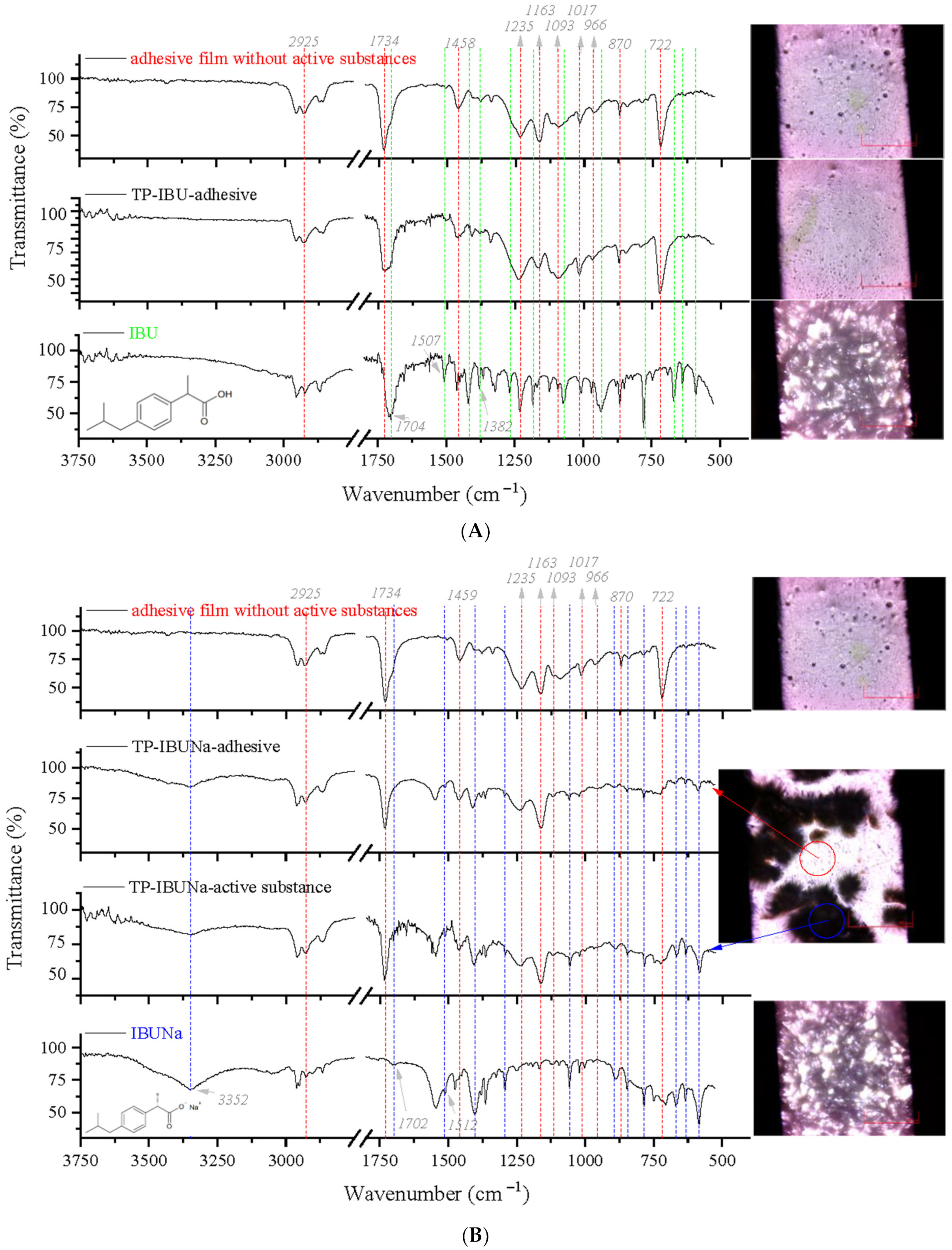 Ijms 23 07752 g002 550