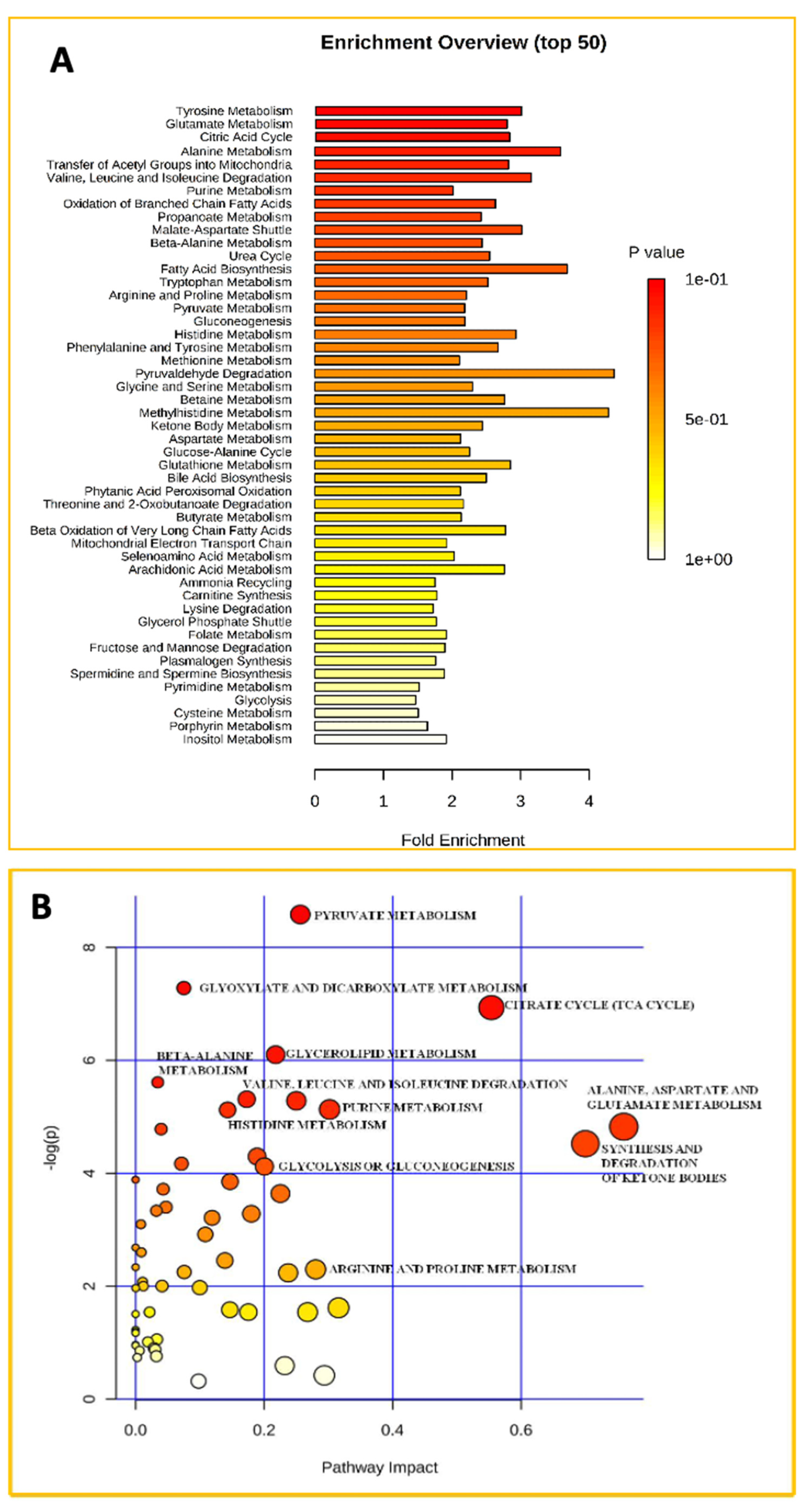 Plasma Metabonomics in Insulin-Resistant Hypogonadic Patients Induced by  Testosterone Treatment