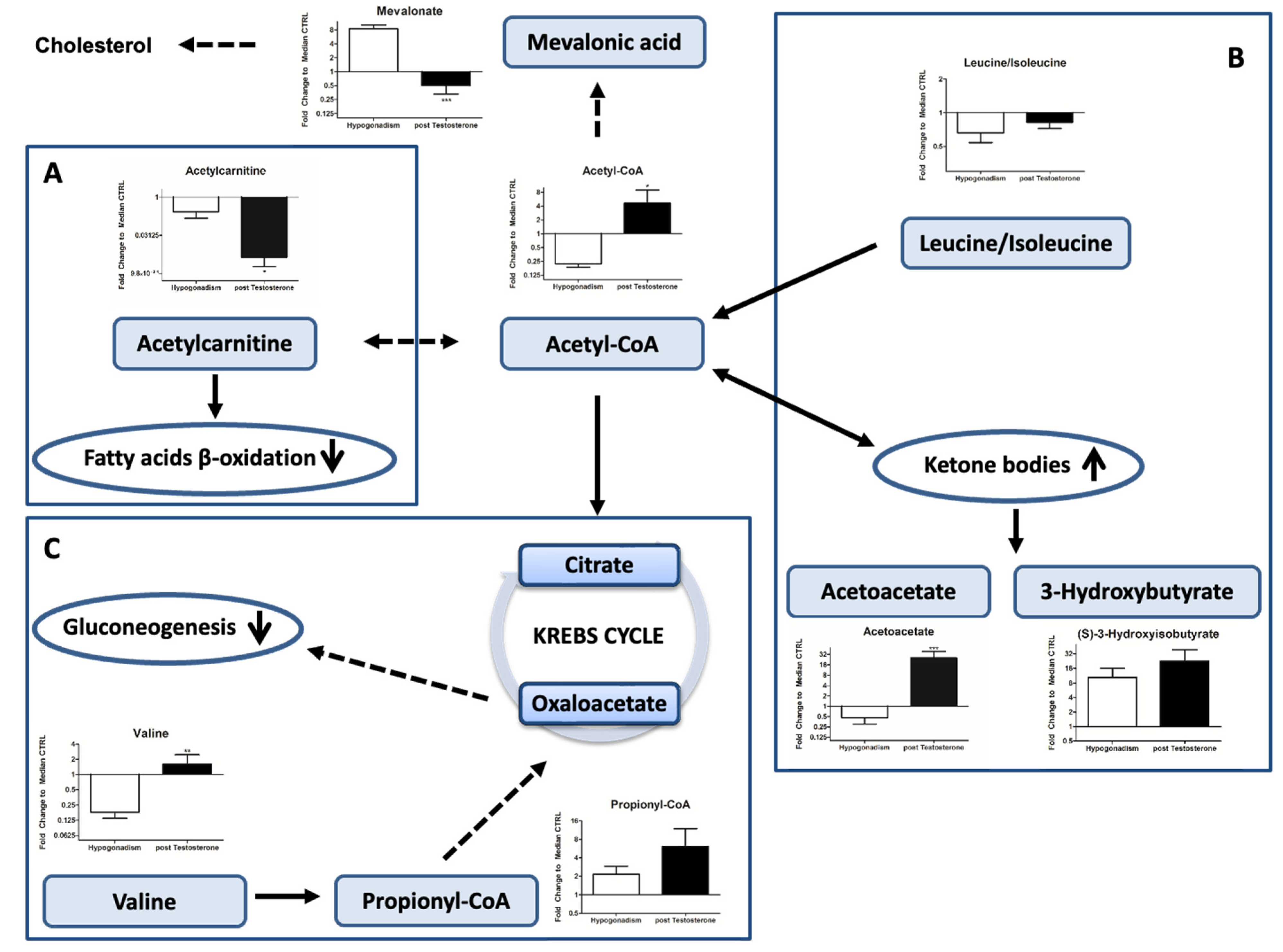 Ijms 23 07754 g003 Ijms 23 07754 g003