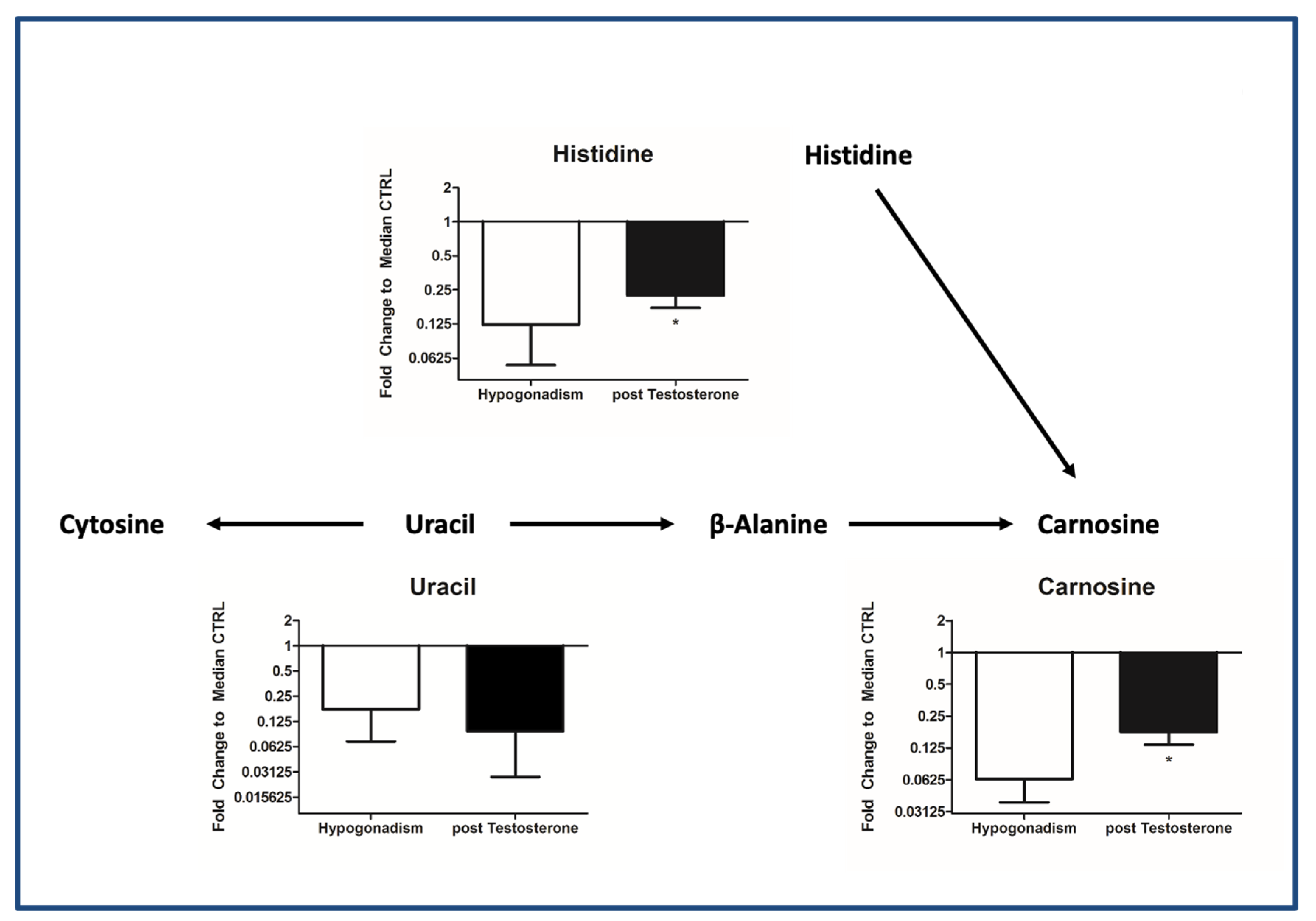 Ijms 23 07754 g006 Ijms 23 07754 g006