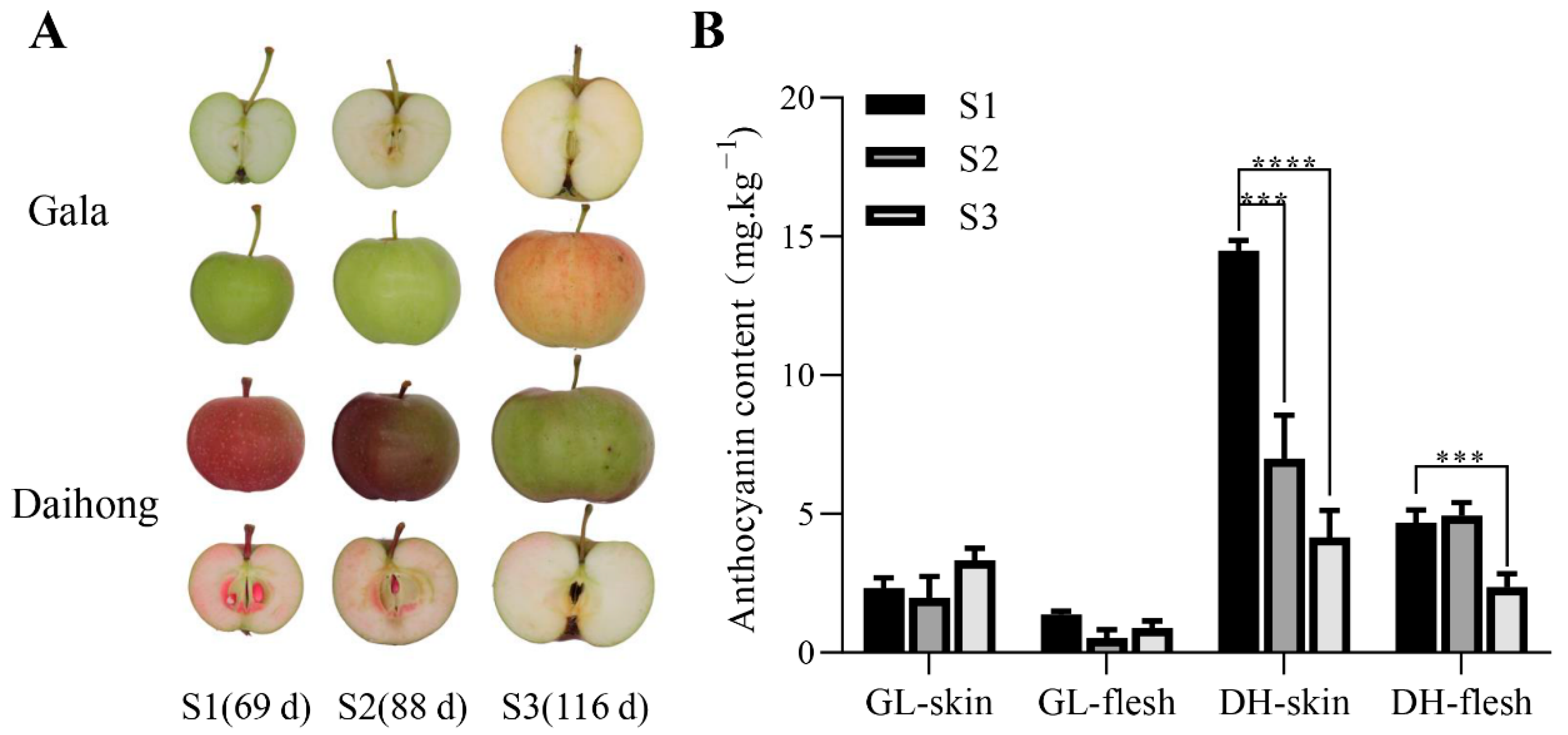 Ijms 23 07755 g001 550
