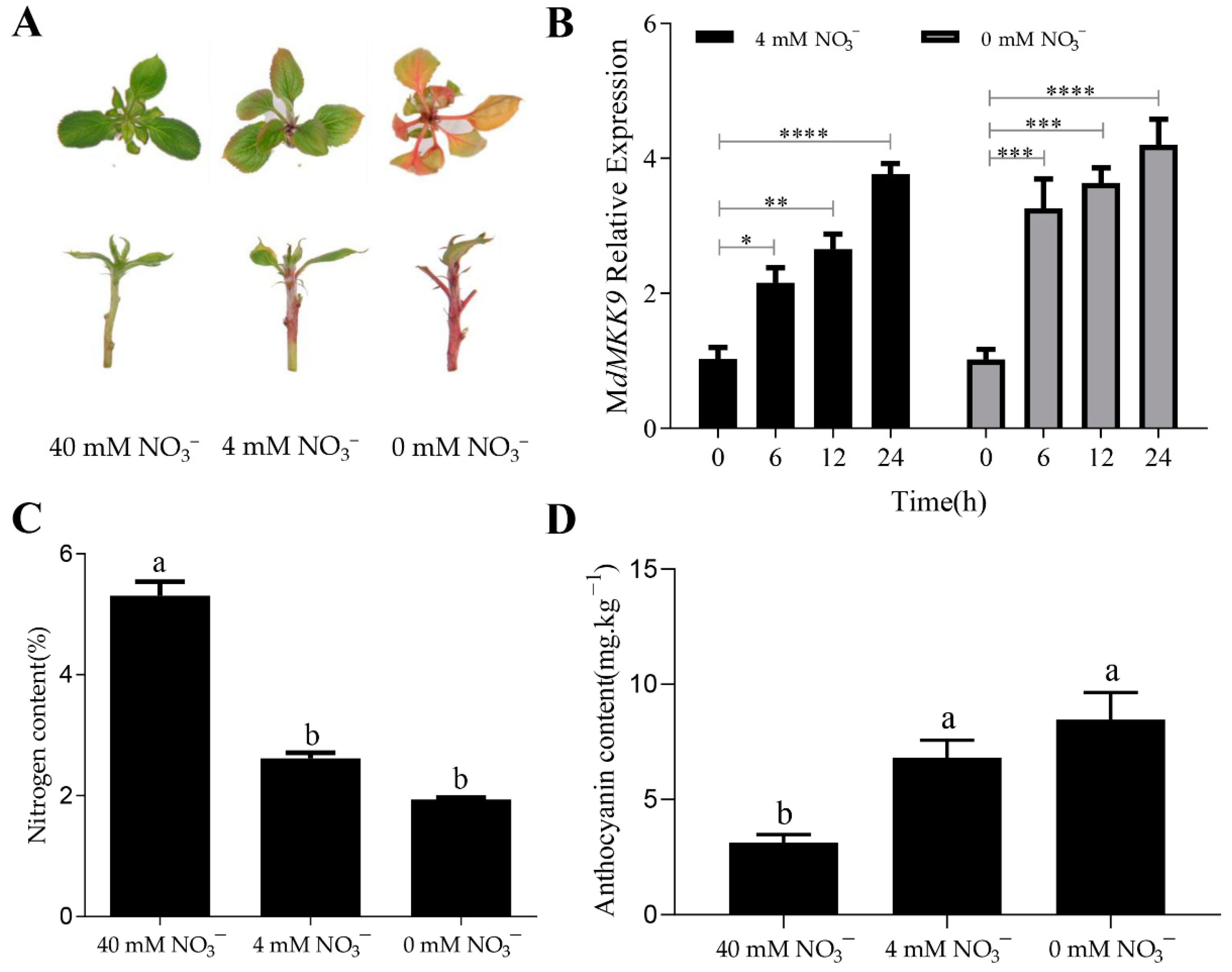 Ijms 23 07755 g003 550