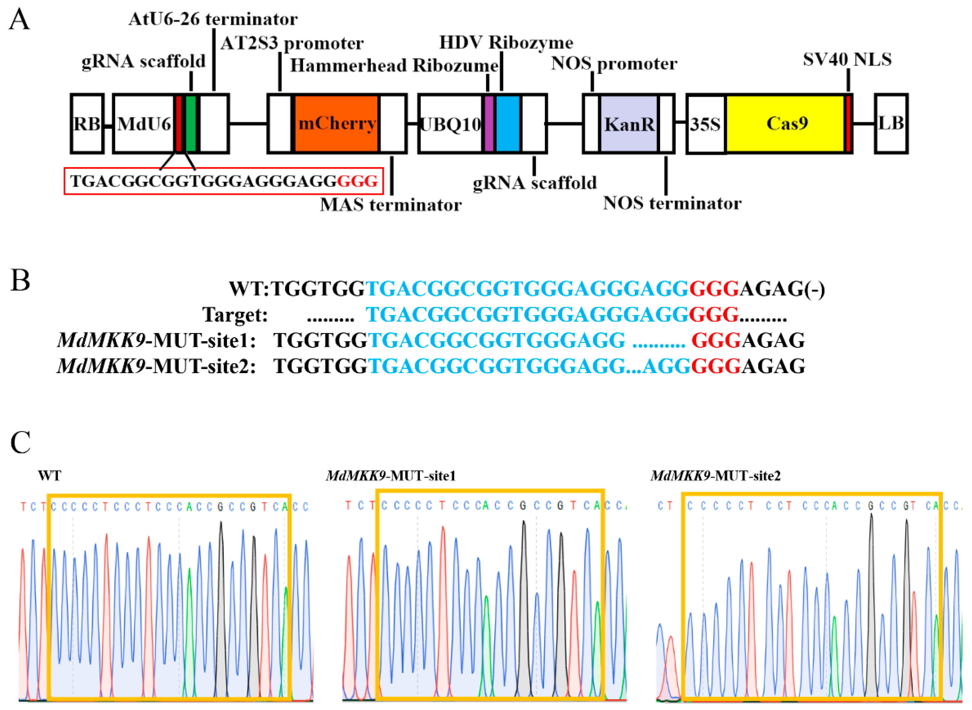 Ijms 23 07755 g006 550