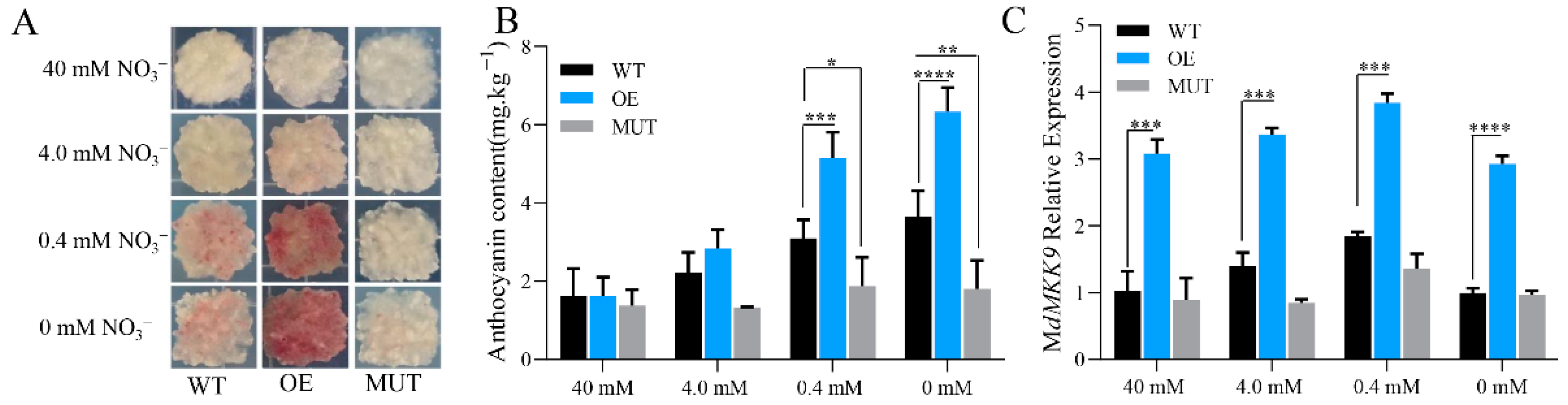Ijms 23 07755 g007 550