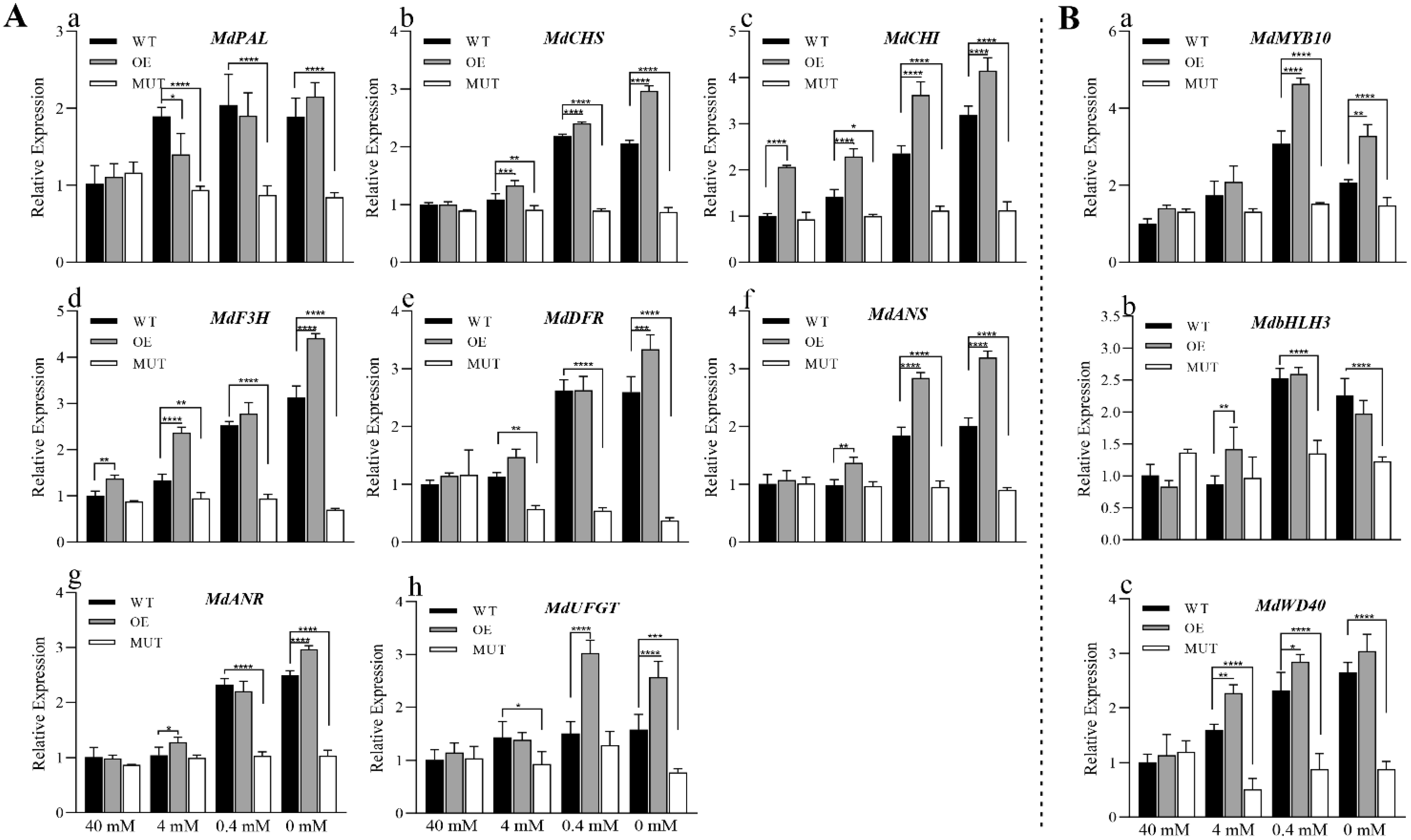 Ijms 23 07755 g008 550