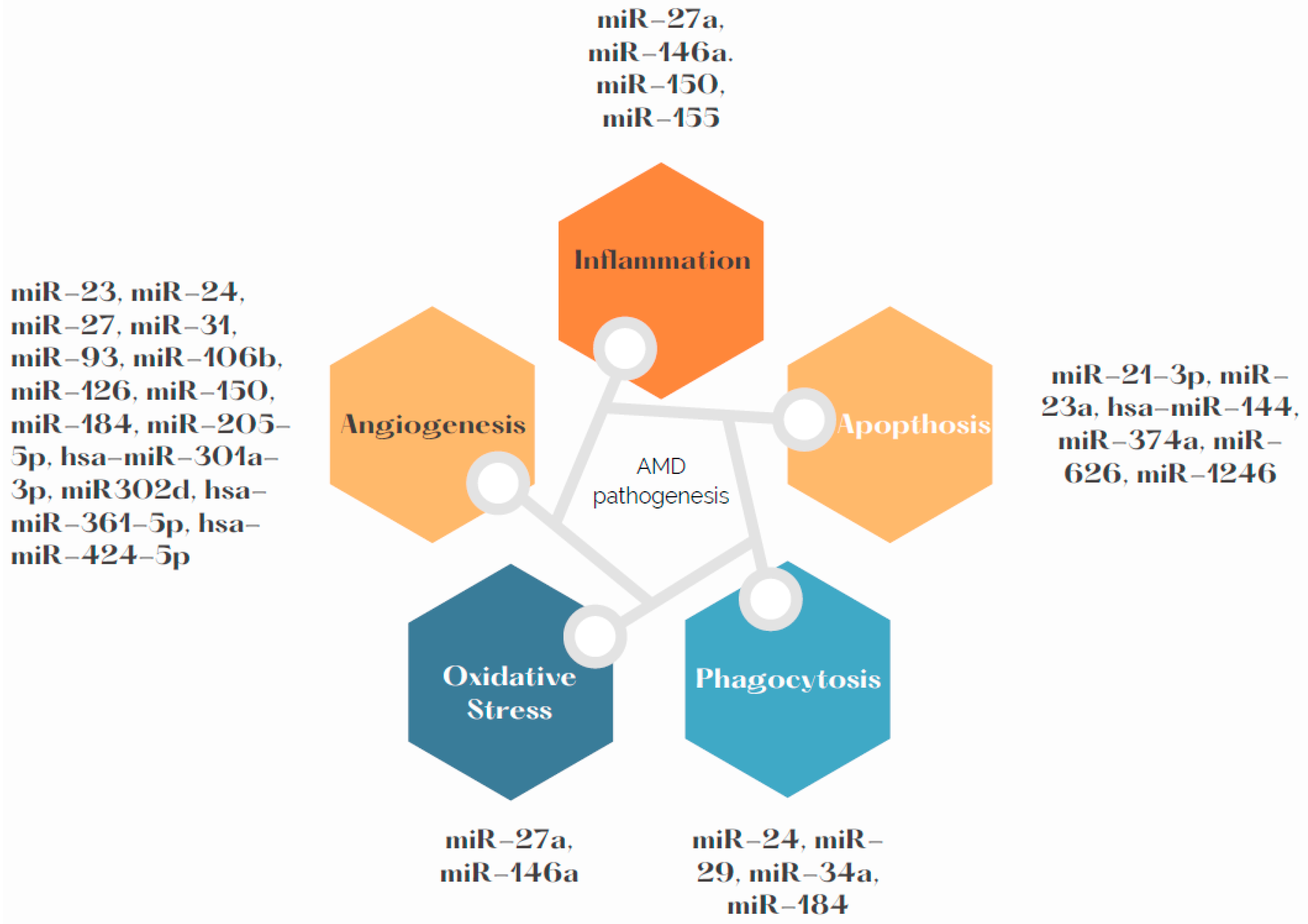 Ijms 23 07761 g002 Ijms 23 07761 g002