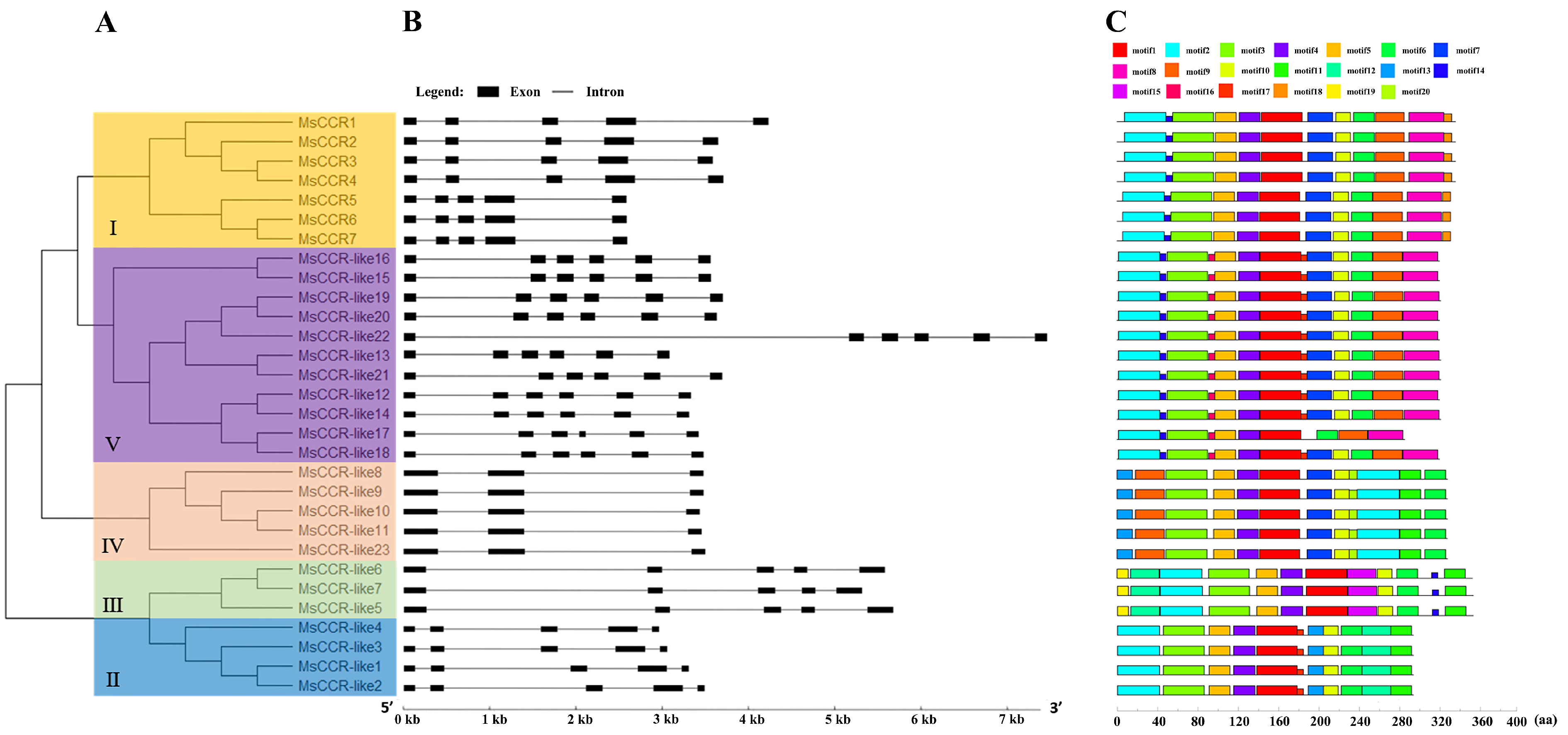 Ijms 23 07762 g001 550