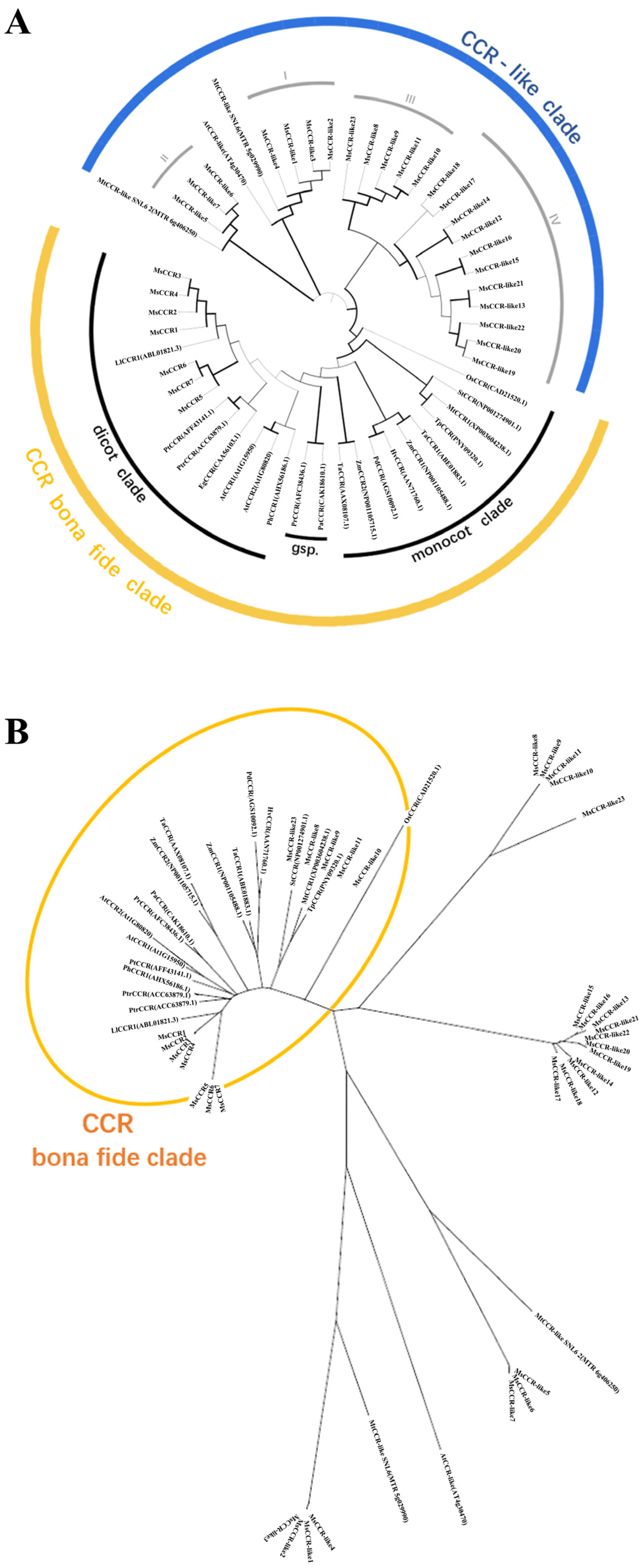 Ijms 23 07762 g002 550