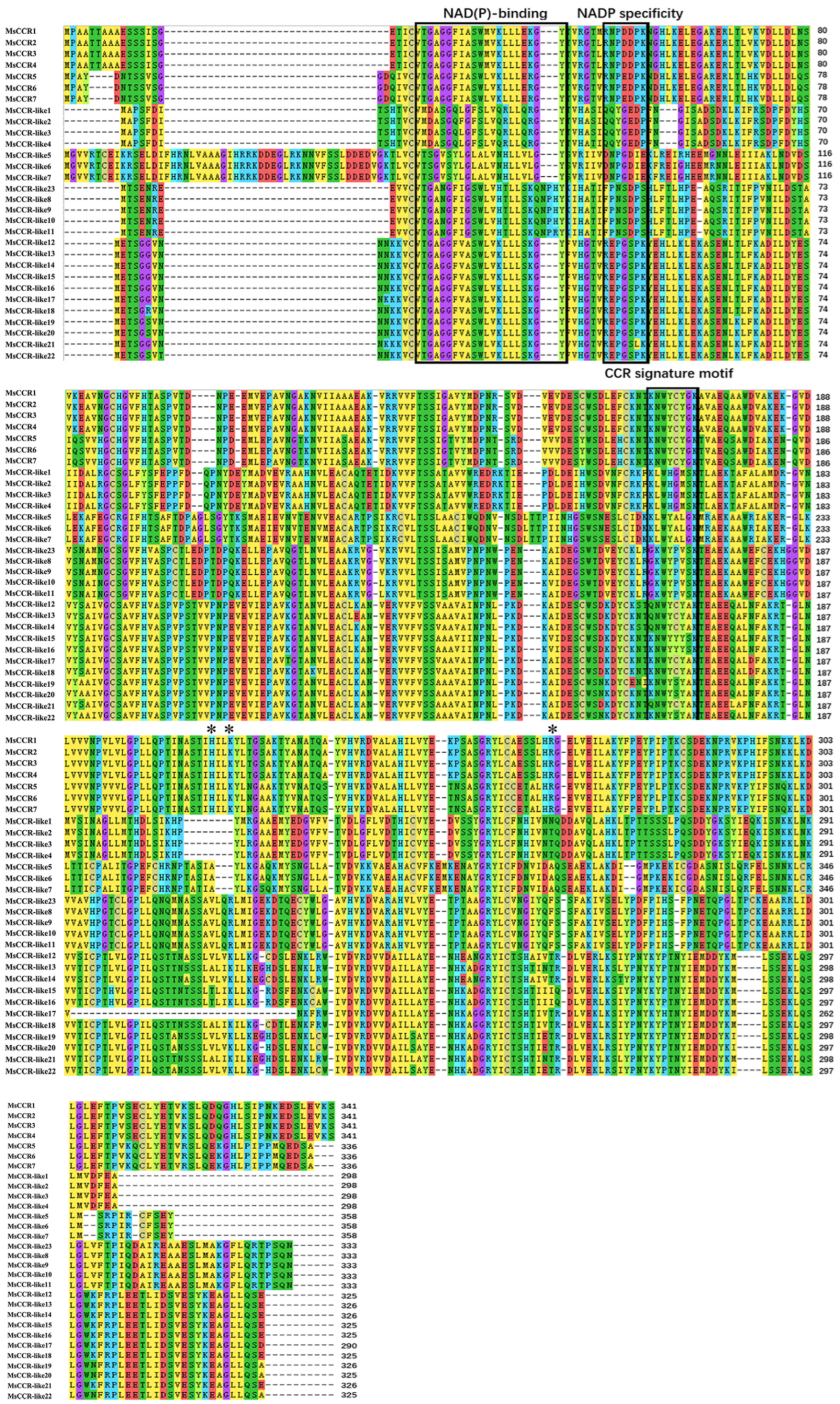 Ijms 23 07762 g003 550