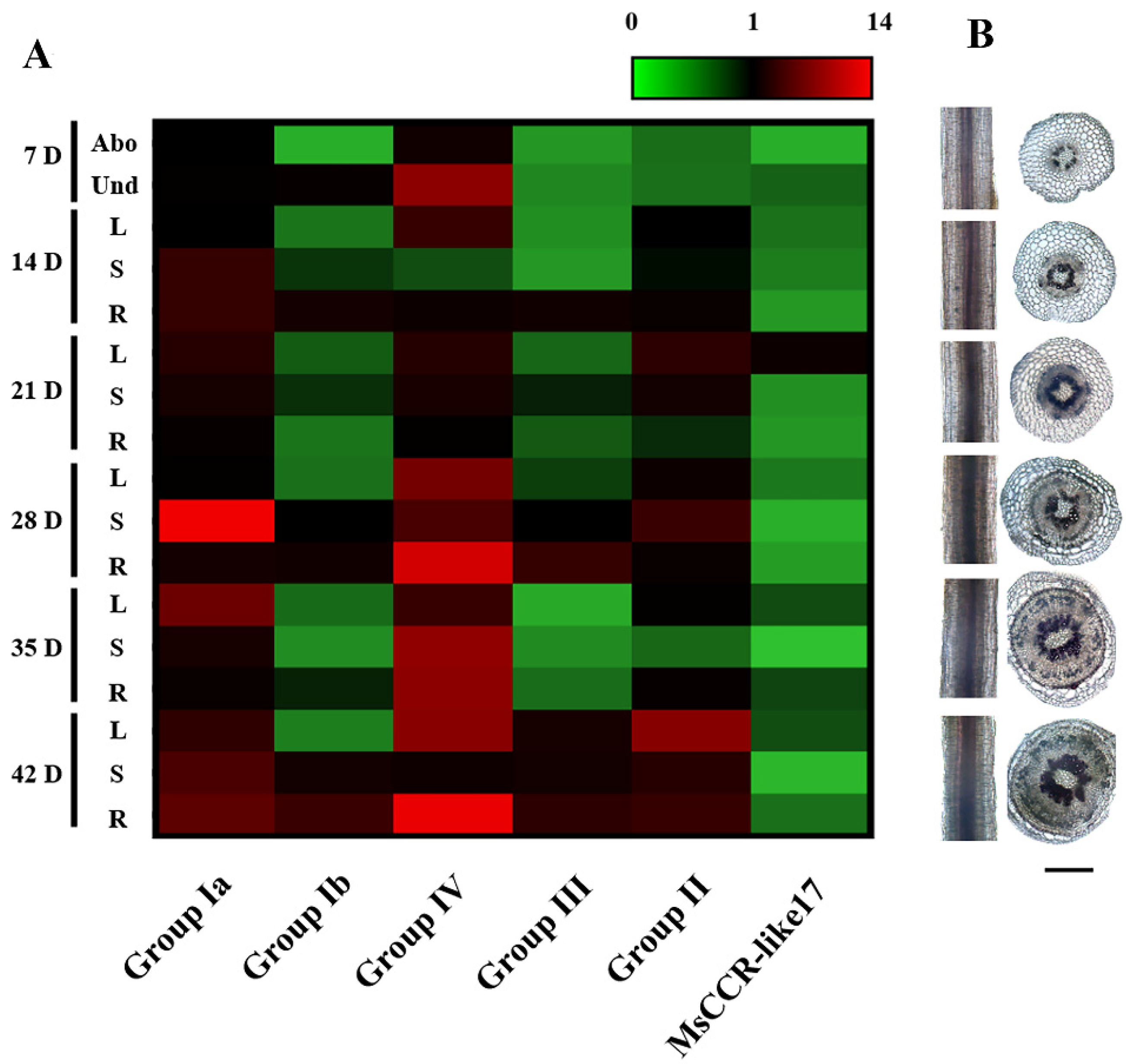 Ijms 23 07762 g005 550