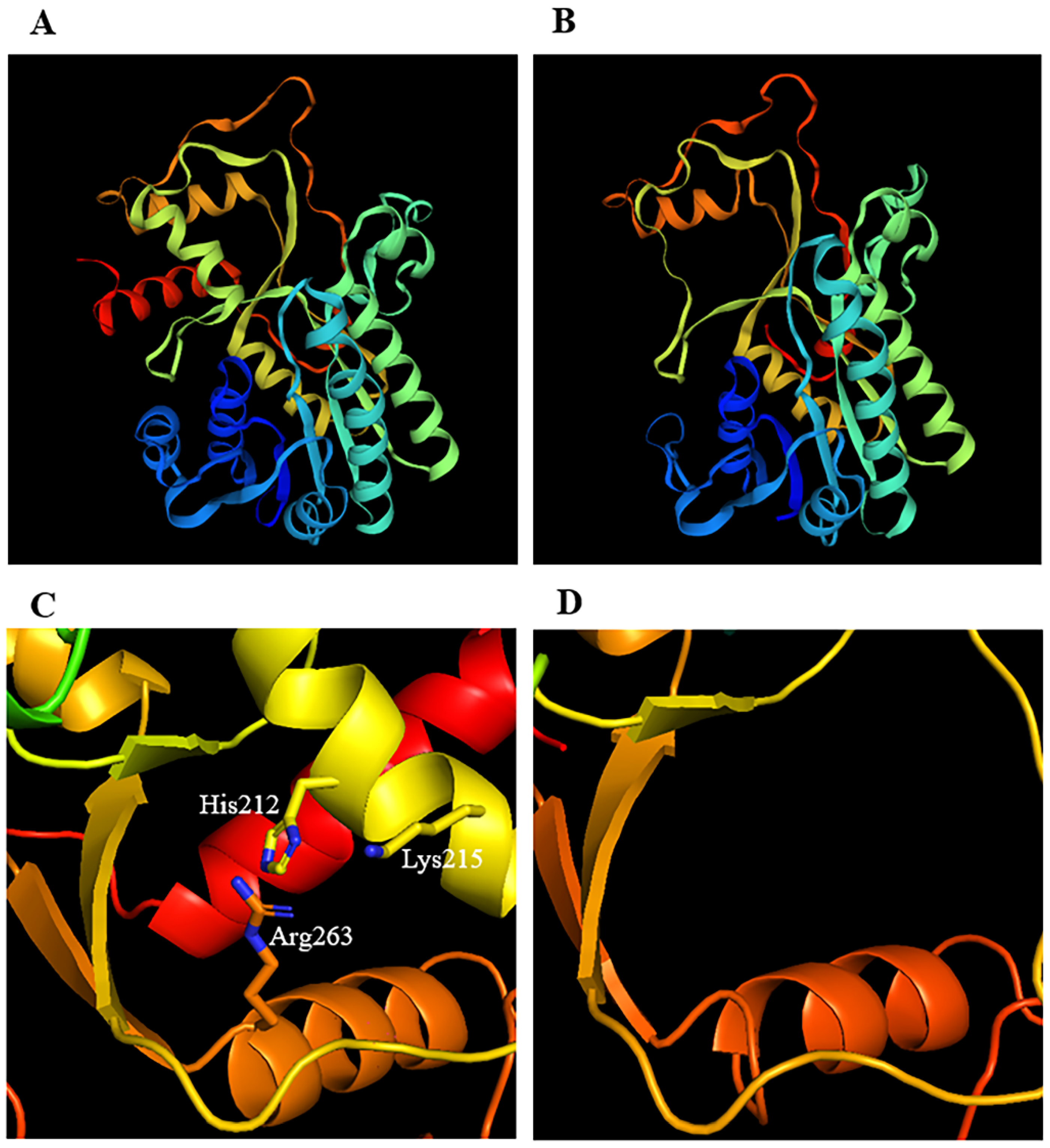 Ijms 23 07762 g007 550