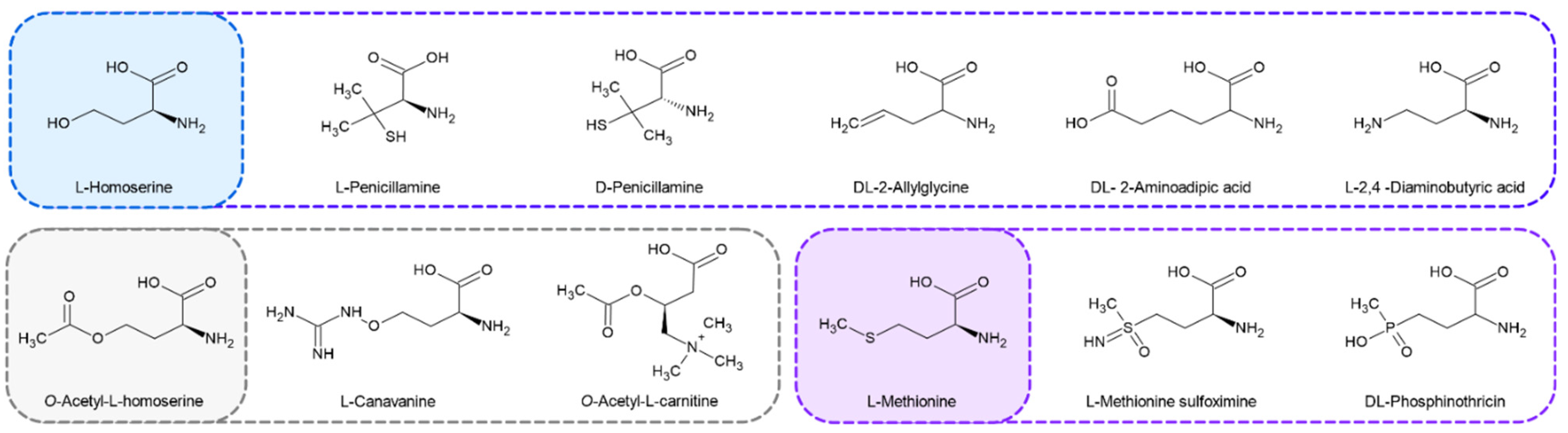 Ijms 23 07763 g005 550