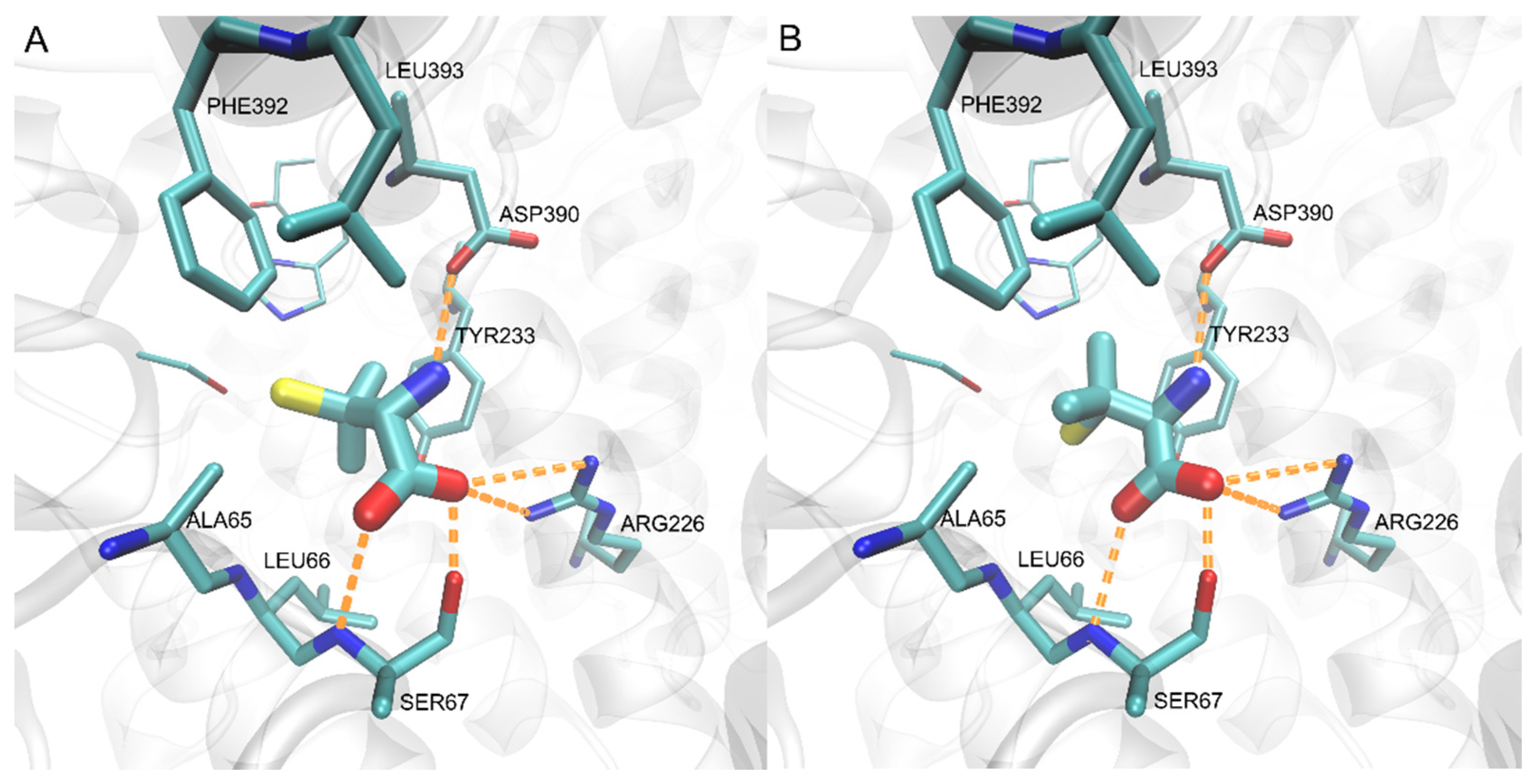Ijms 23 07763 g007 550