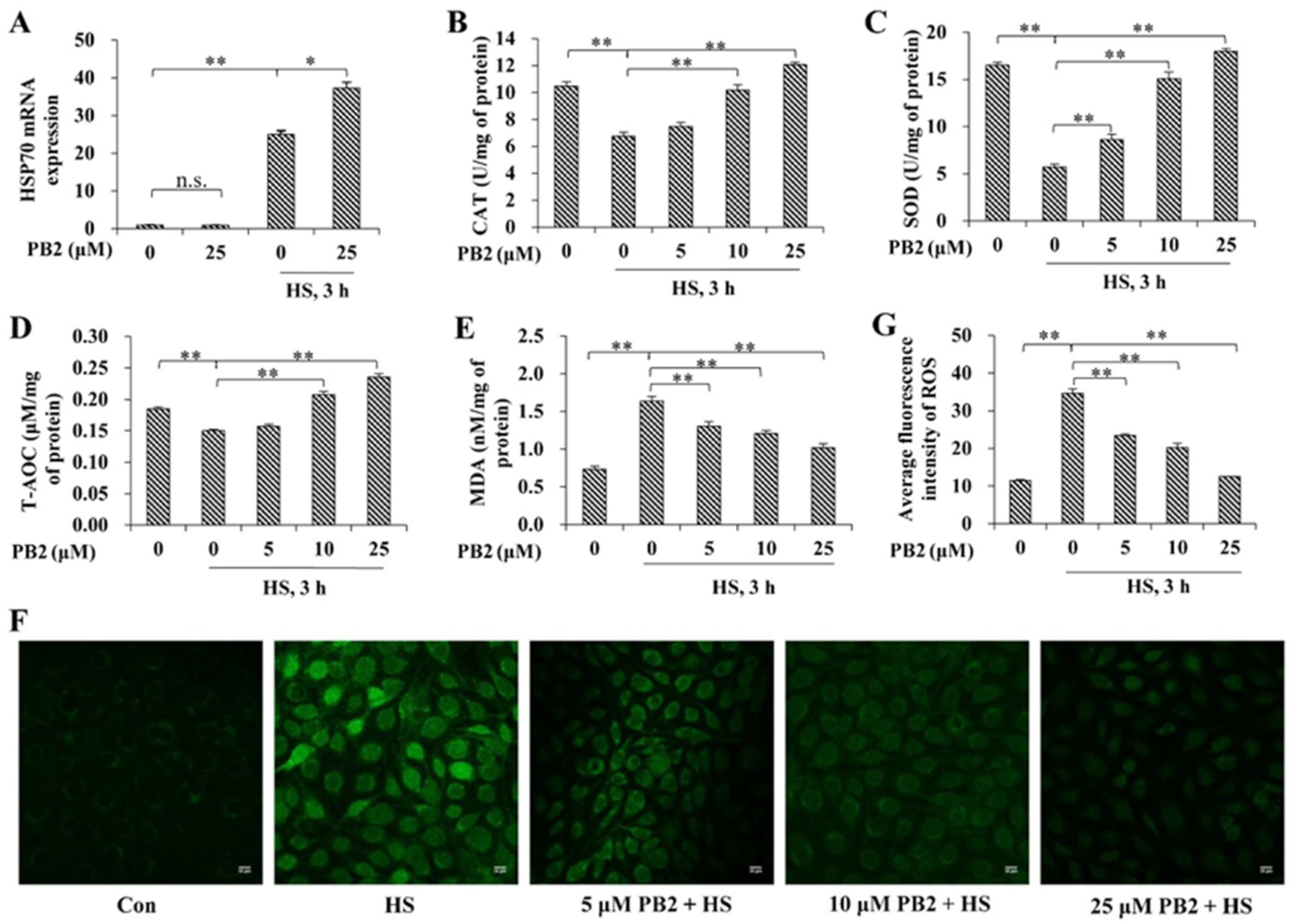 Ijms 23 07769 g002 550
