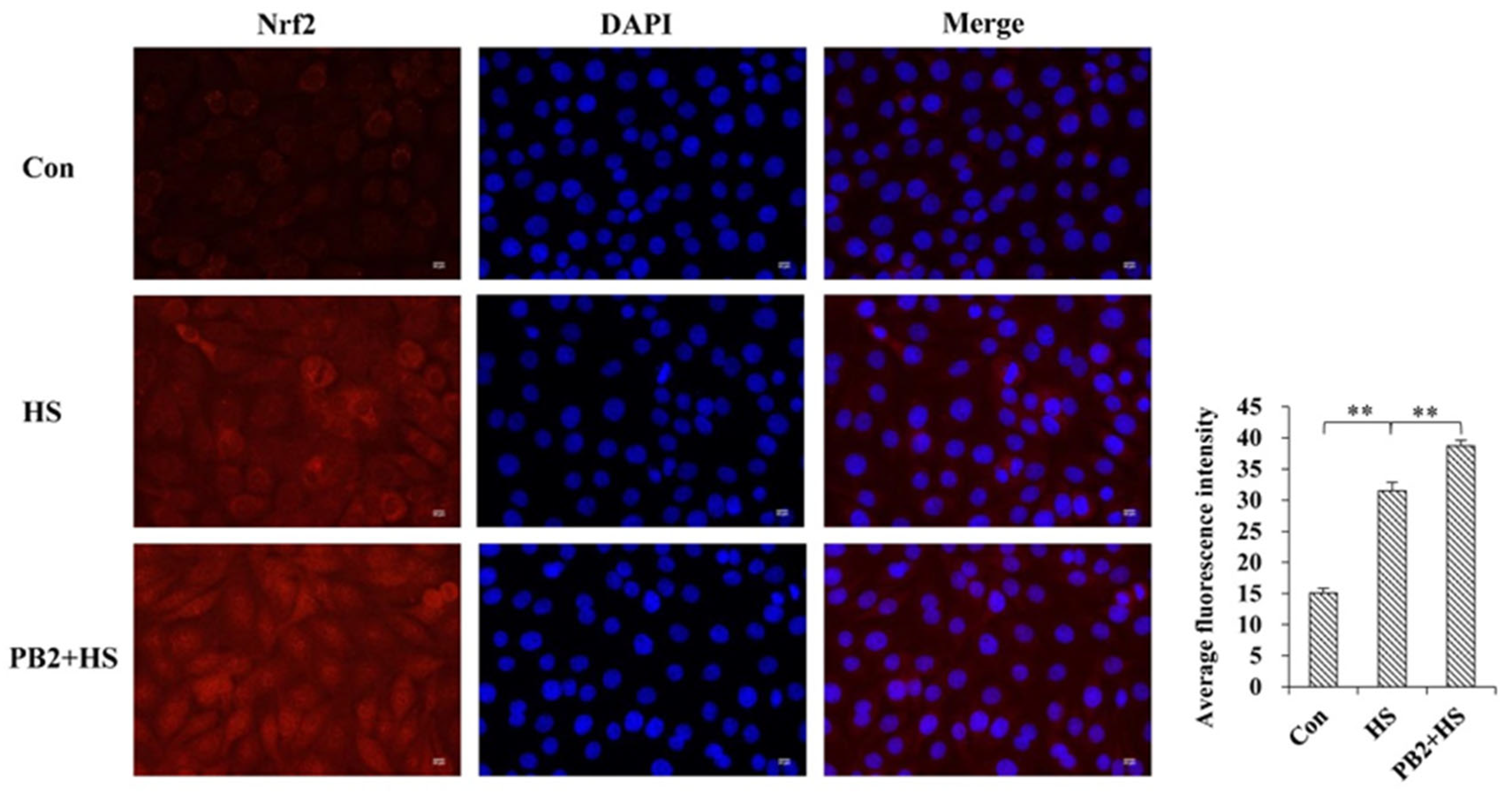 Ijms 23 07769 g005 550