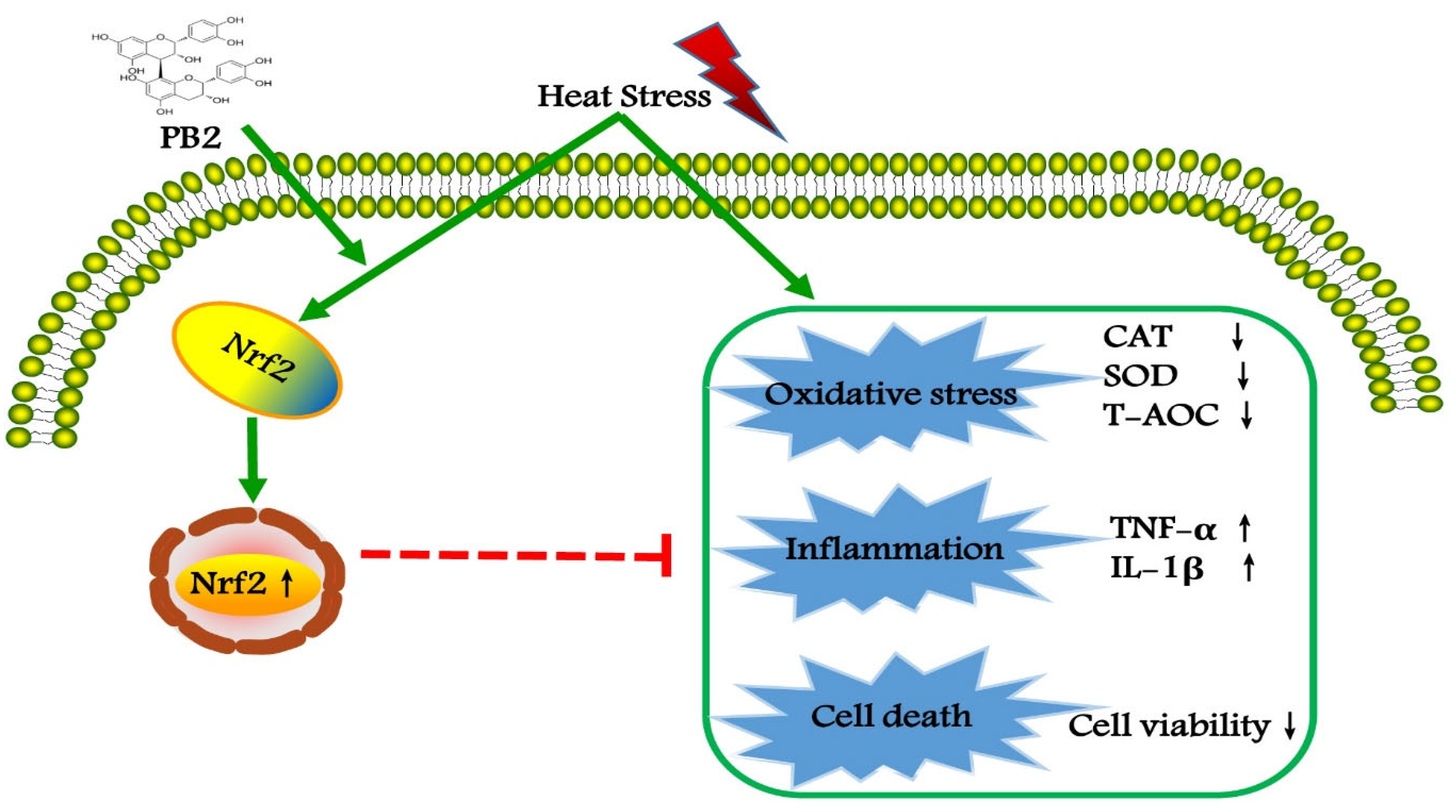 Ijms 23 07769 g009 550