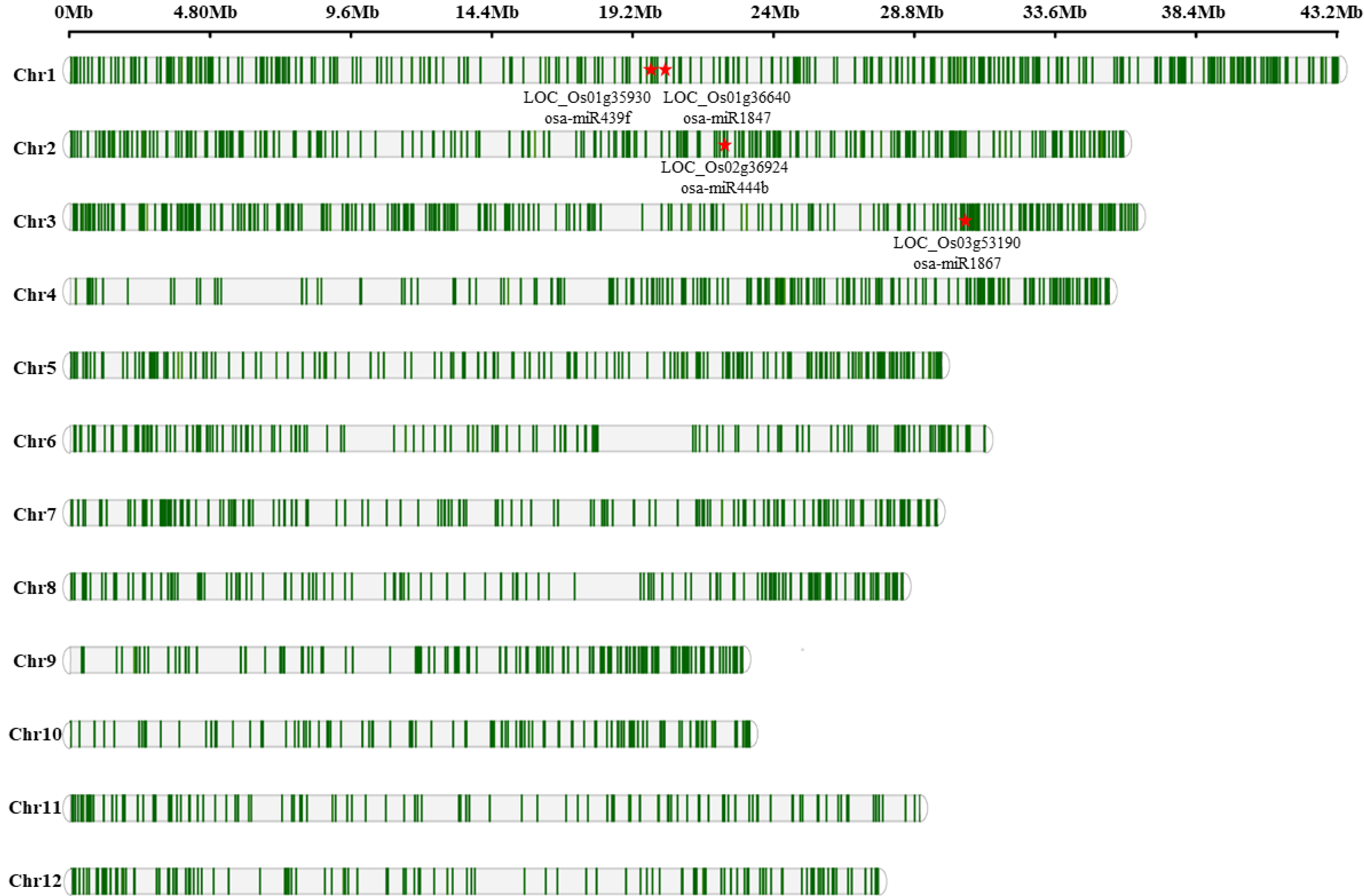 Ijms 23 07770 g005 550