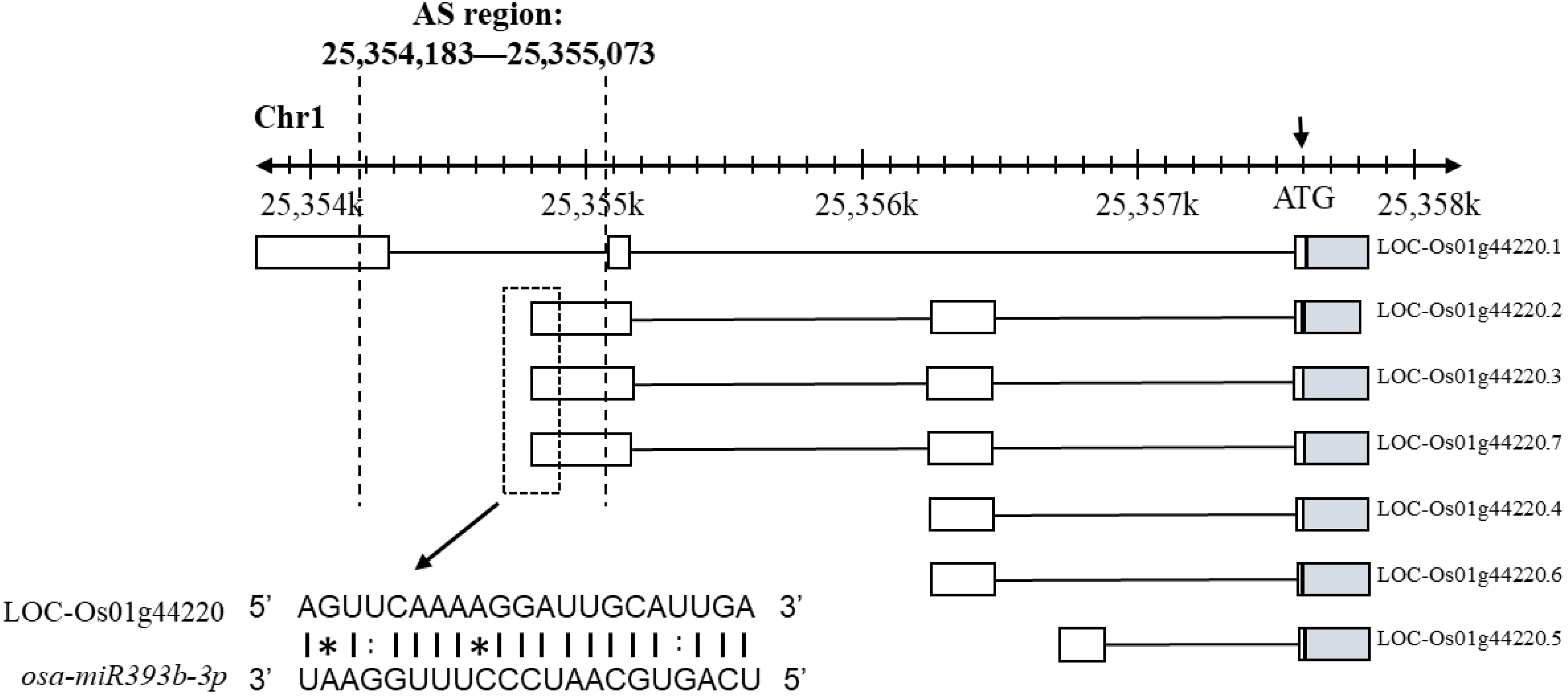 Ijms 23 07770 g006 550