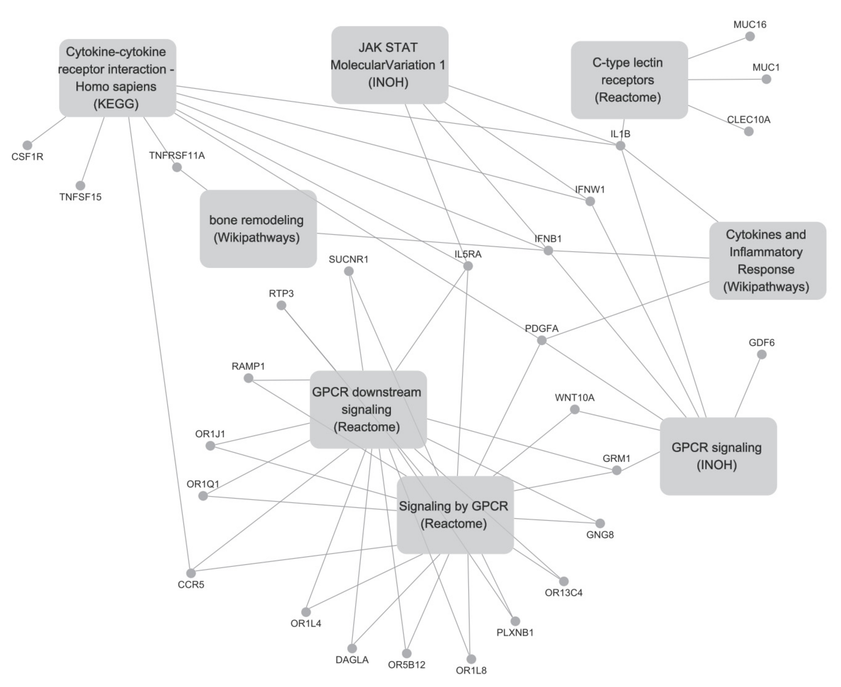 Ijms 23 07772 g002 Ijms 23 07772 g002