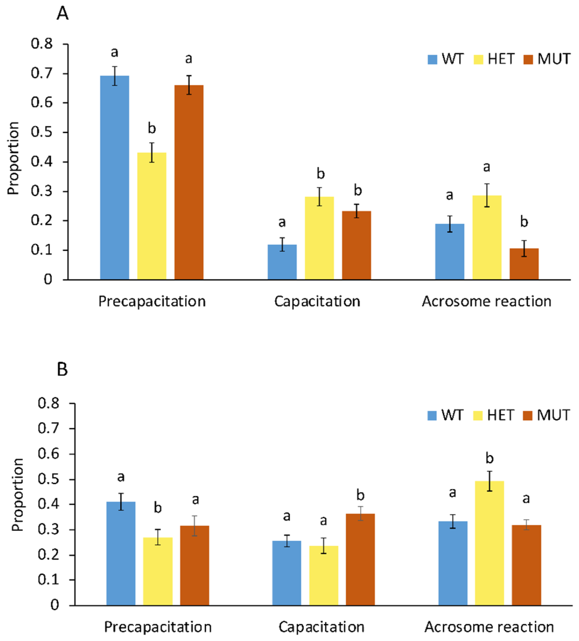 Ijms 23 07777 g004 Ijms 23 07777 g004