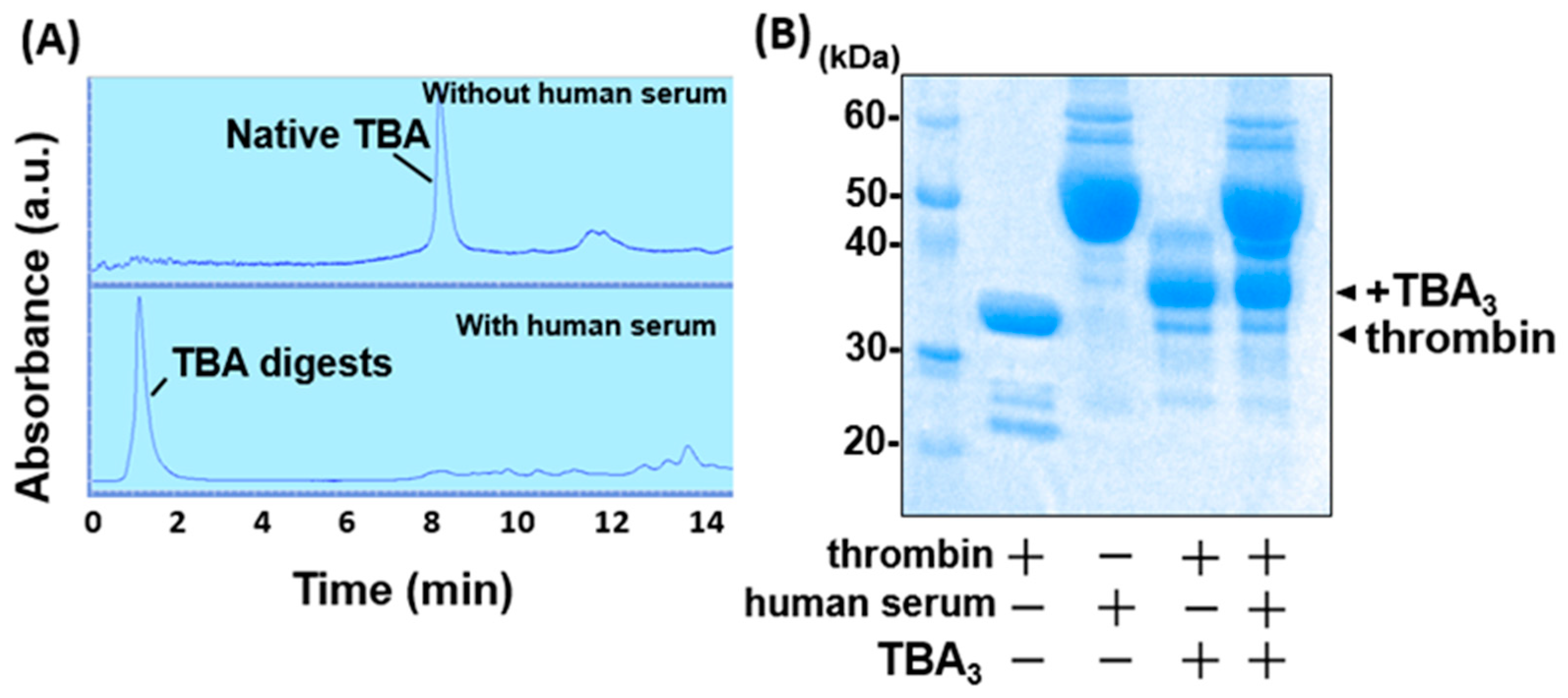 Ijms 23 07778 g003 550