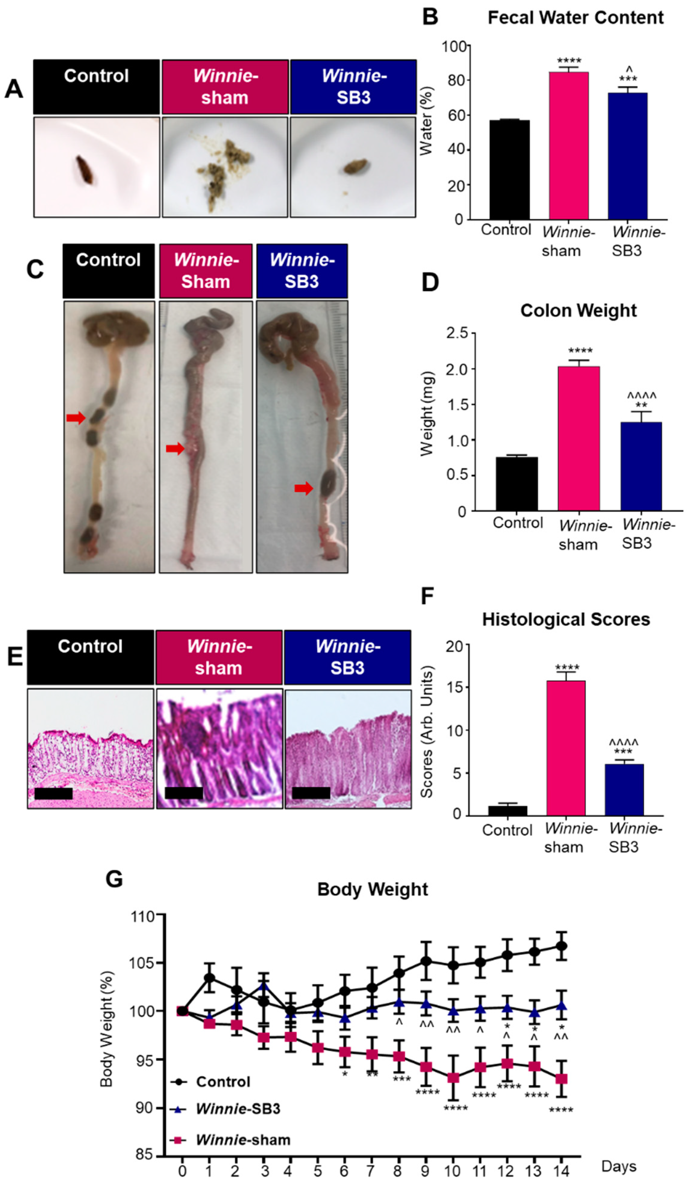 Ijms 23 07780 g001 Ijms 23 07780 g001