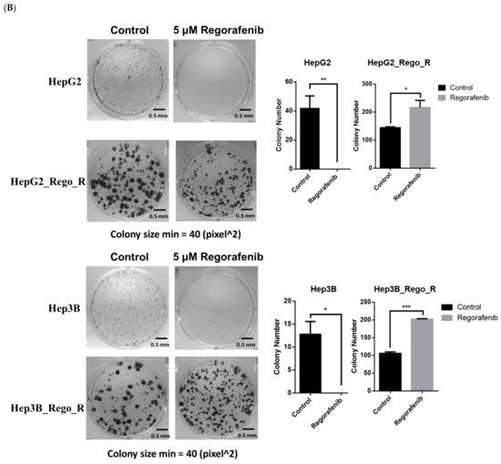 FOXM1-CD44 Signaling Is Critical for the Acquisition of Regorafenib ...