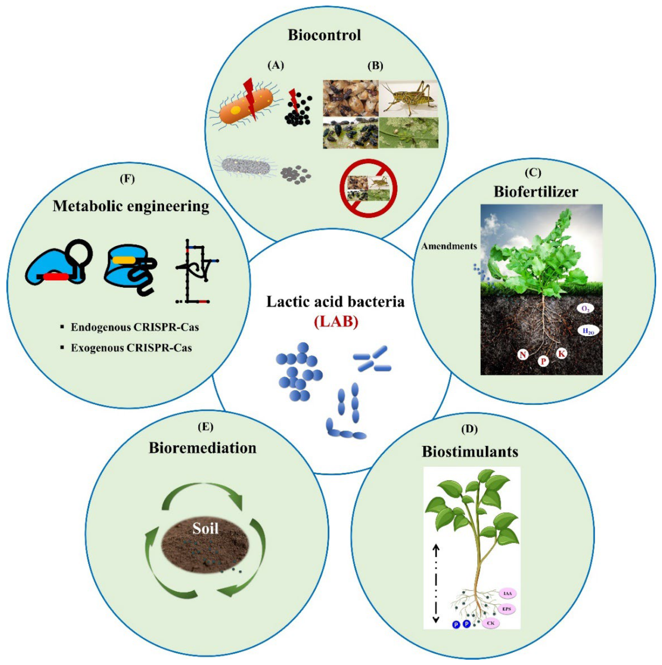 Food and Farm Discussion Lab