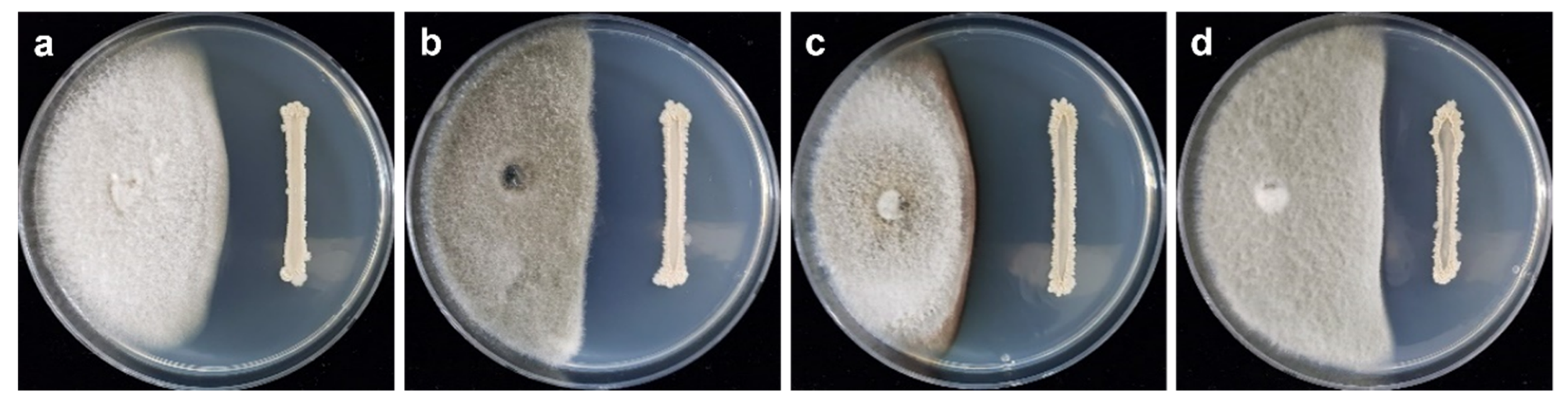 Ijms 23 07786 g002 Ijms 23 07786 g002